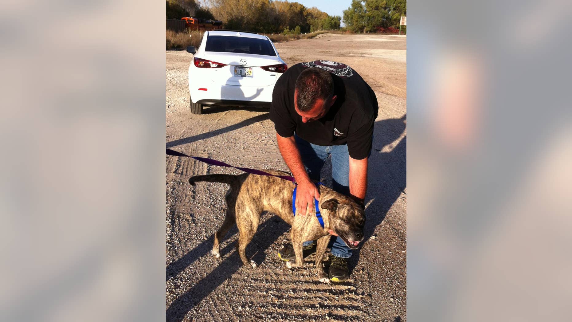 In this Sunday, Oct. 19, 2014 photo provided by Sam Franklin, Koda, a 95-pound bull mastiff, meets truck driver Jimmy Dimmitt in Ashland, Neb. The dog-loving Nebraska trucker took Koda on a long haul back to its family in Arizona. (AP Photo/Sam Franklin)