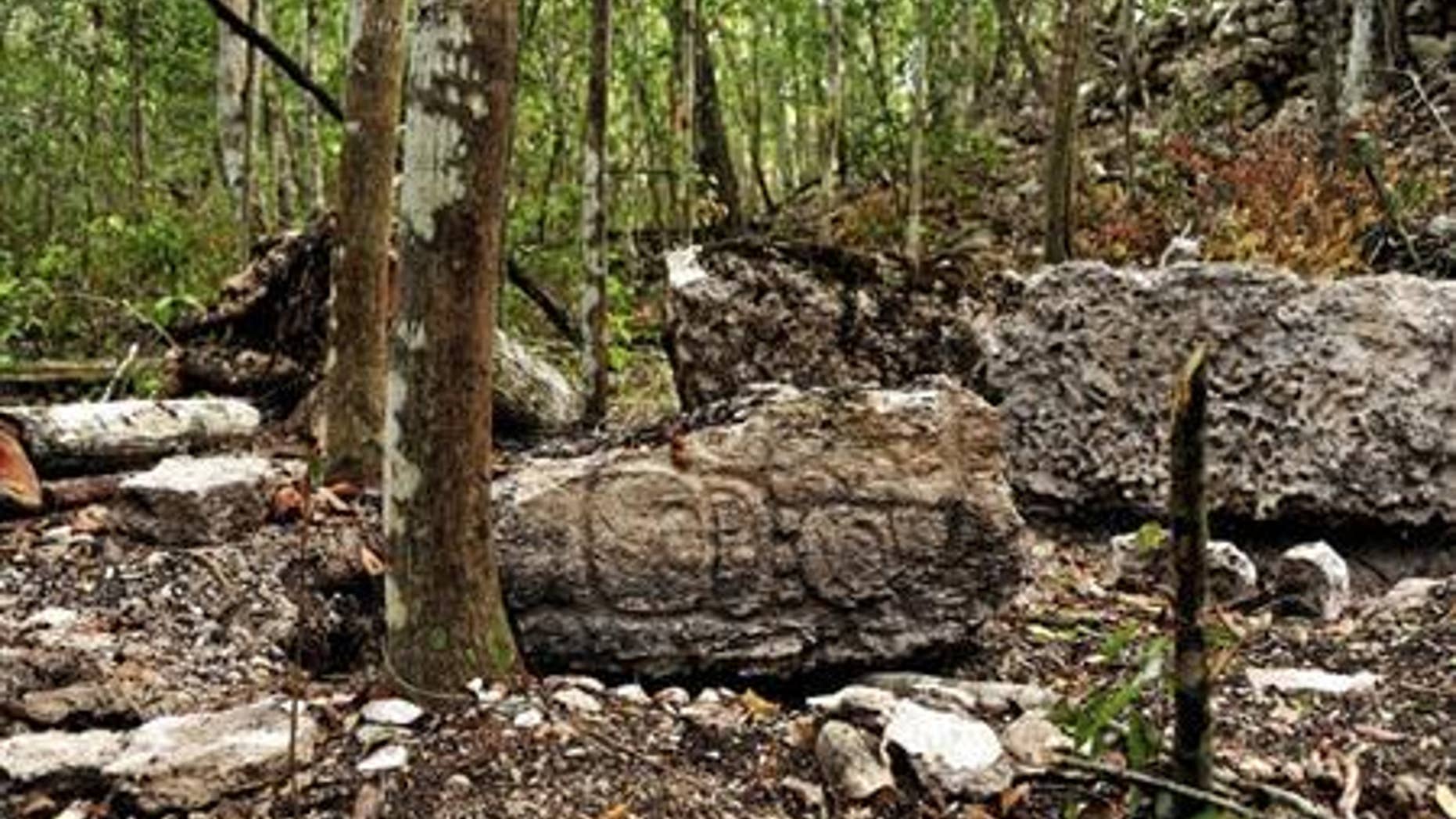 Sculpted stone shafts called stelae are pictured at the newly discovered ancient Maya city Chactun in Yucatan peninsula.