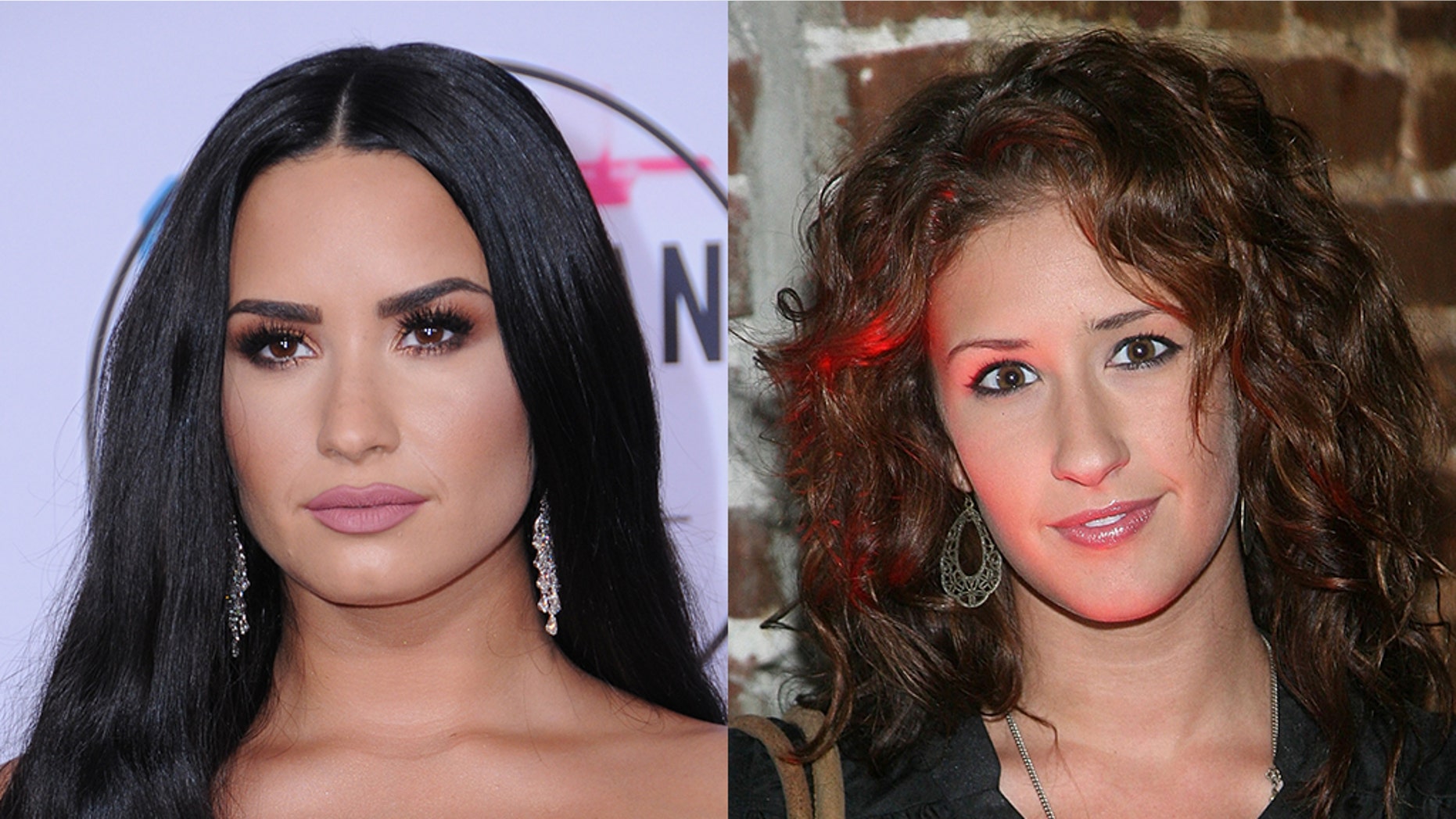 Demi Lovato's backup dancer, Dani Vitale, asked fans to stop "any negativity" on Sunday after the singer's apparent overdose.