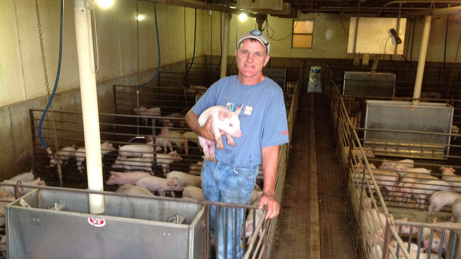 Bill Luckey hopes to be able to prevent future outbreaks of PEDv on his farm with improved bio-security measures.