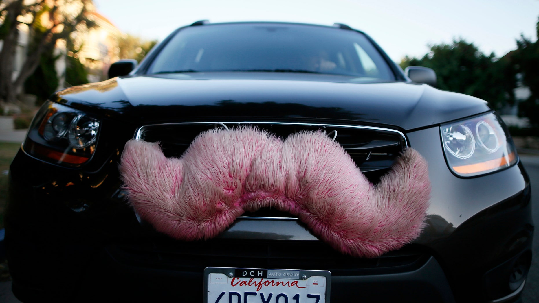 File photo. A driver with the ride-sharing service Lyft waits for a customer on a street in Santa Monica, California October 17, 2013.
