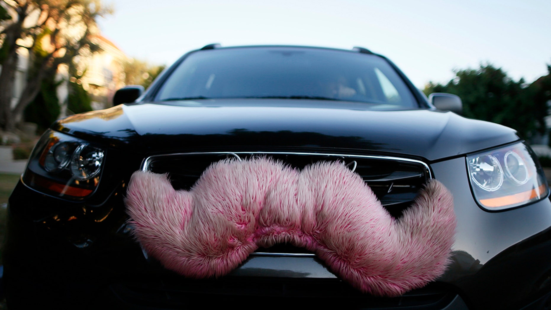 Lyft Driver Kicks Out Gay Couple Mid Ride After Back Seat Kiss Fox News