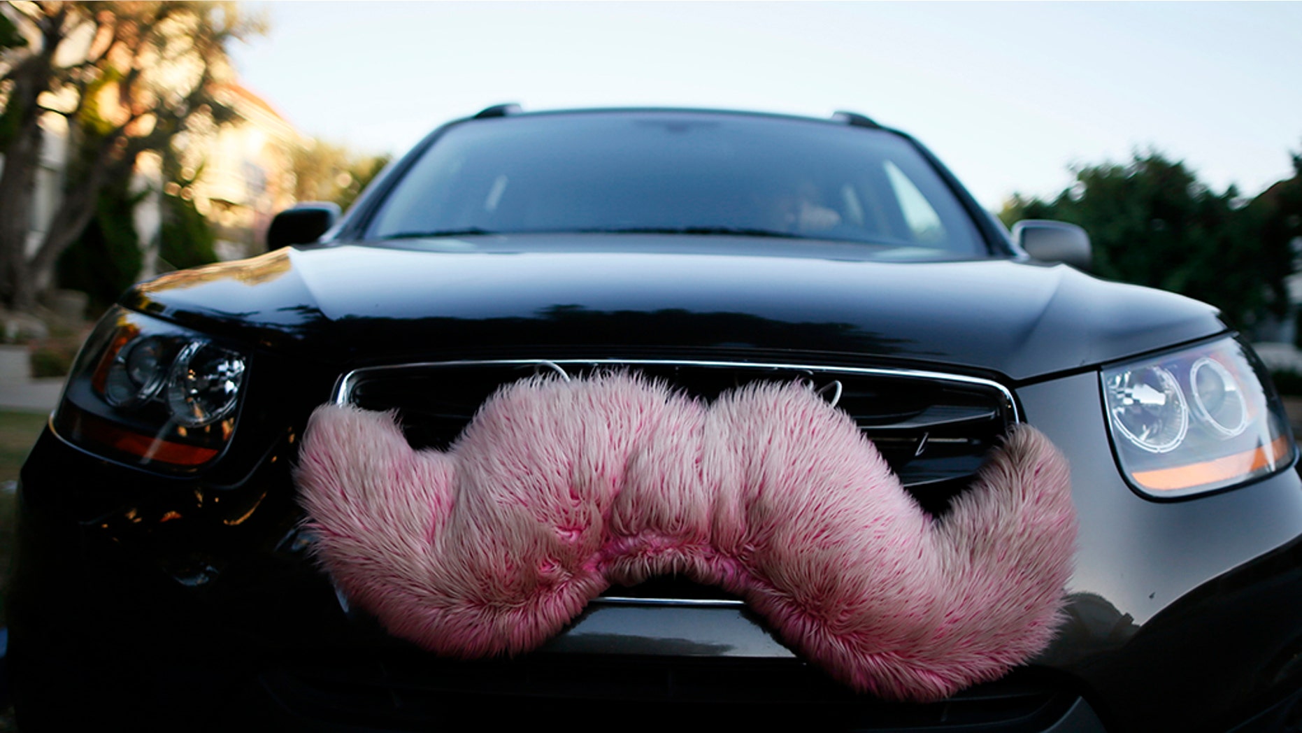 A Lyft driver reportedly kicked out a gay couple after they kissed in the backseat in Indianapolis, IN.