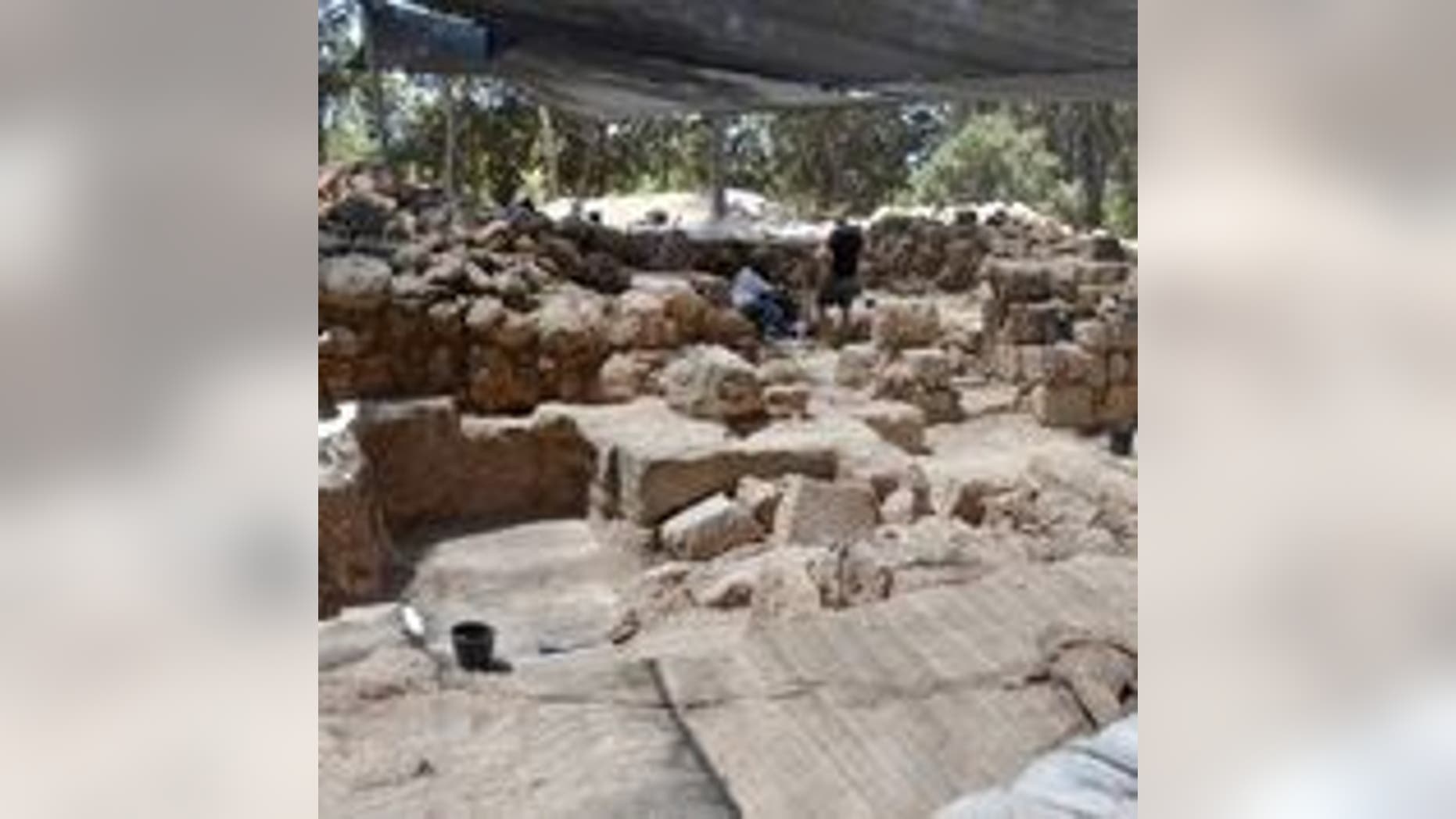 General picture of the site.