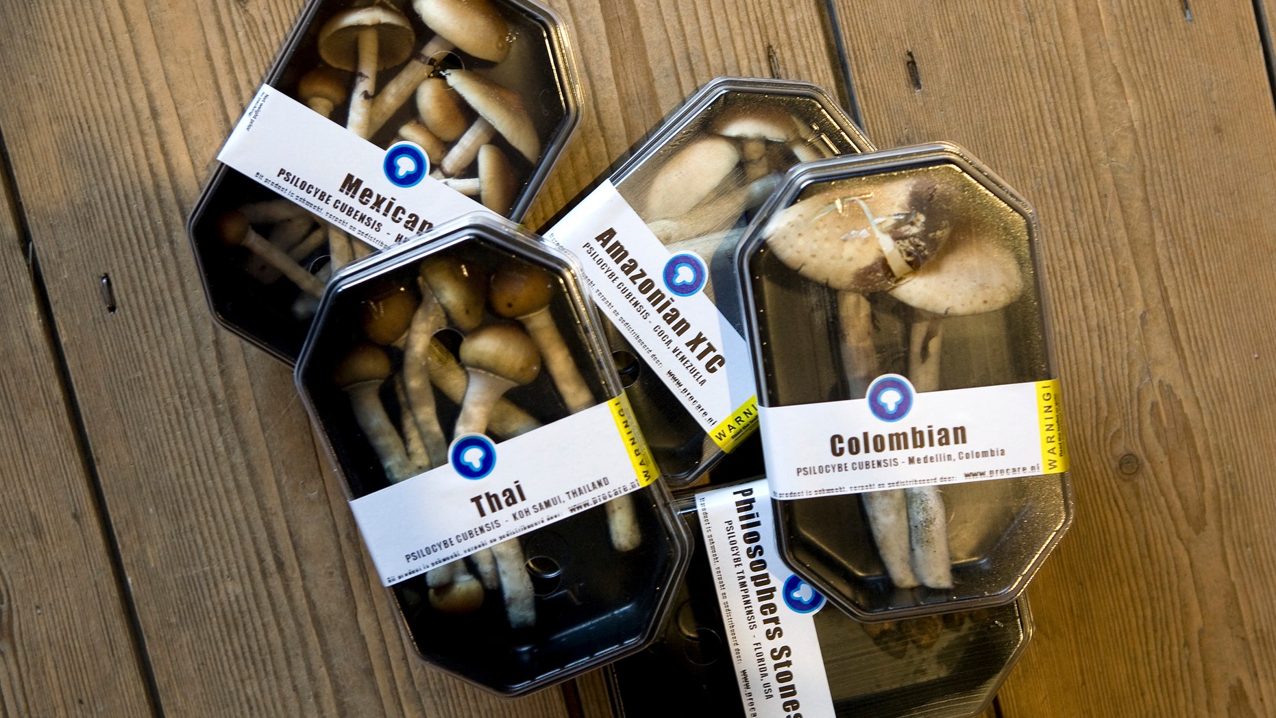 File photo - boxes containing magic mushrooms are displayed at a coffee and smart shop in Rotterdam November 28, 2008.