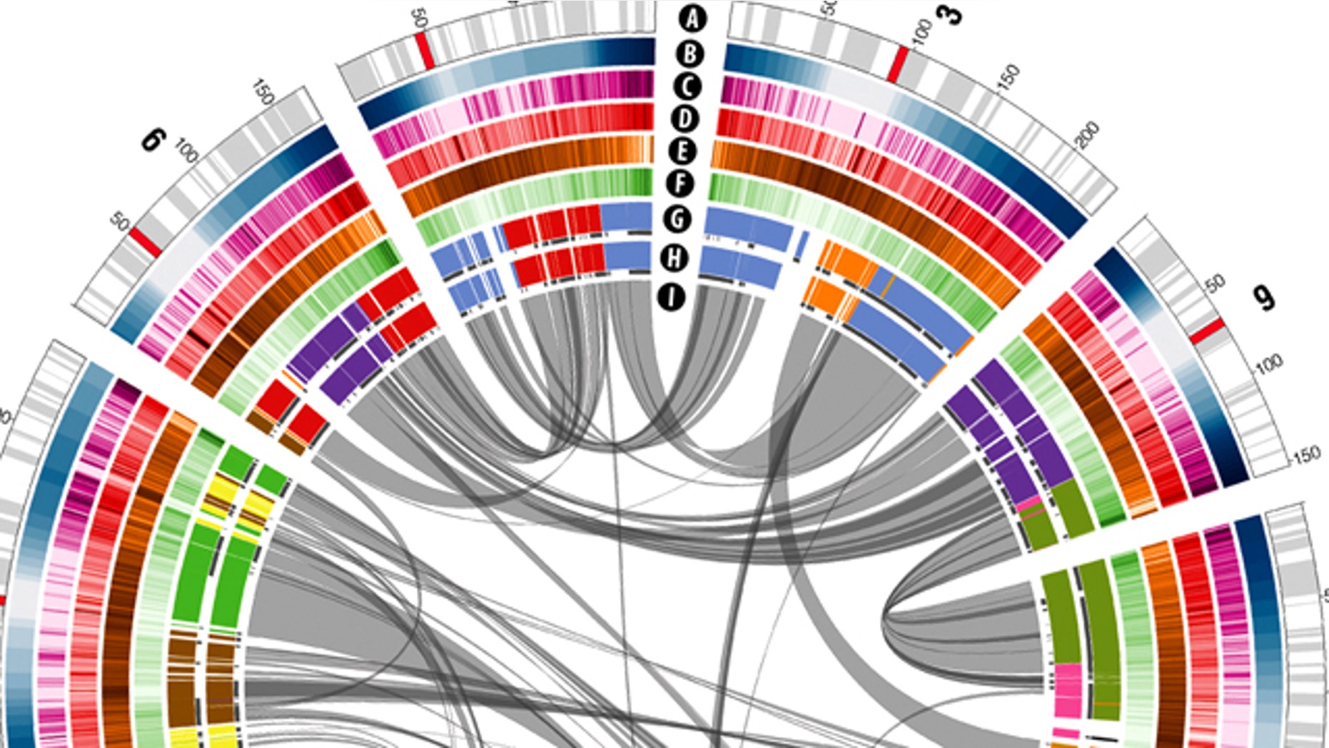 A portion of the genome map -- the information stored in an organism's DNA -- of maize, carefully decoded by scientists. A new handheld DNA scanner may be able to analyze human DNA in under an hour -- but how will it be used?