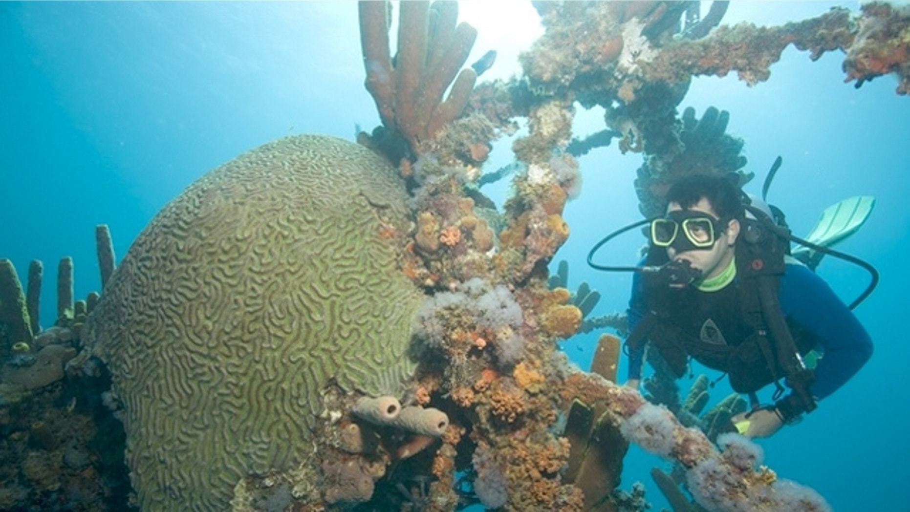 Malmok Beach in Aruba is one of the sites of the largest shipwreaks in the Caribbean.