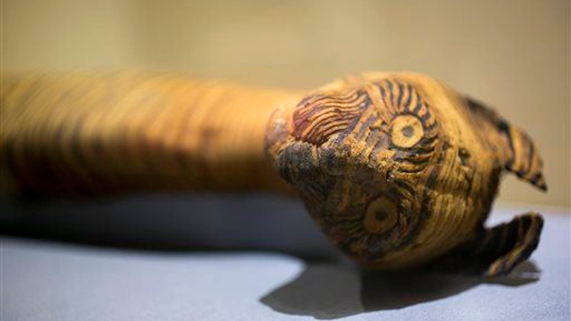 A cat mummy, is displayed in this file photo.