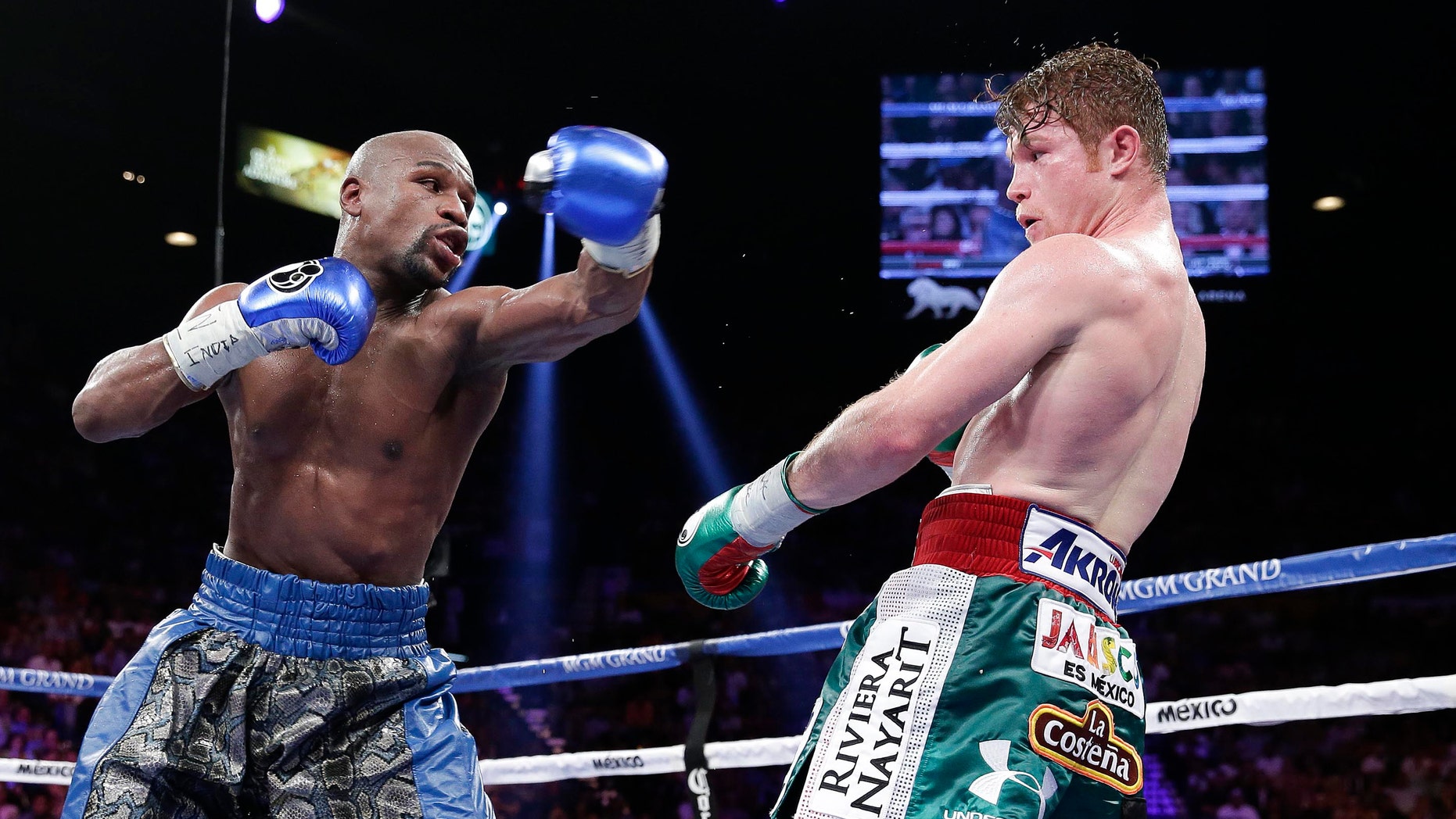 Judge From Canelo Mayweather Fight Widely Criticized Quits Temporarily 