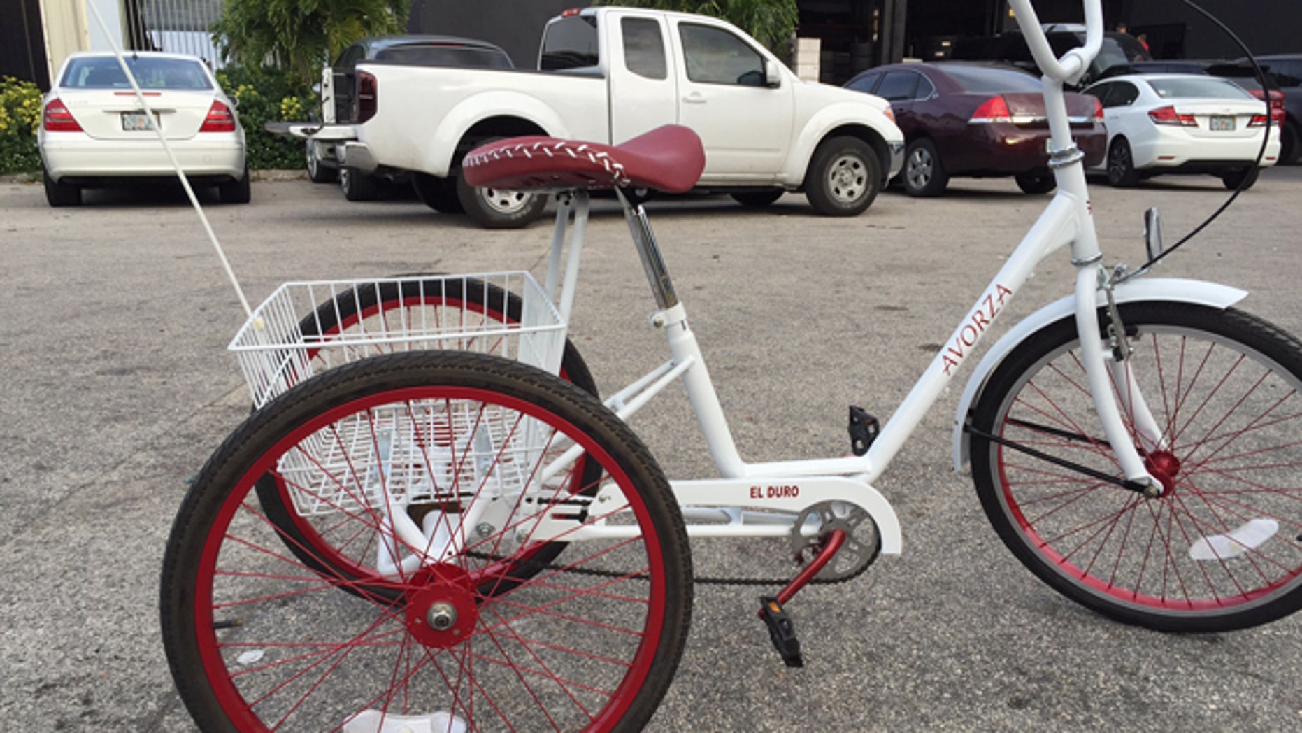 custom three wheel bicycle