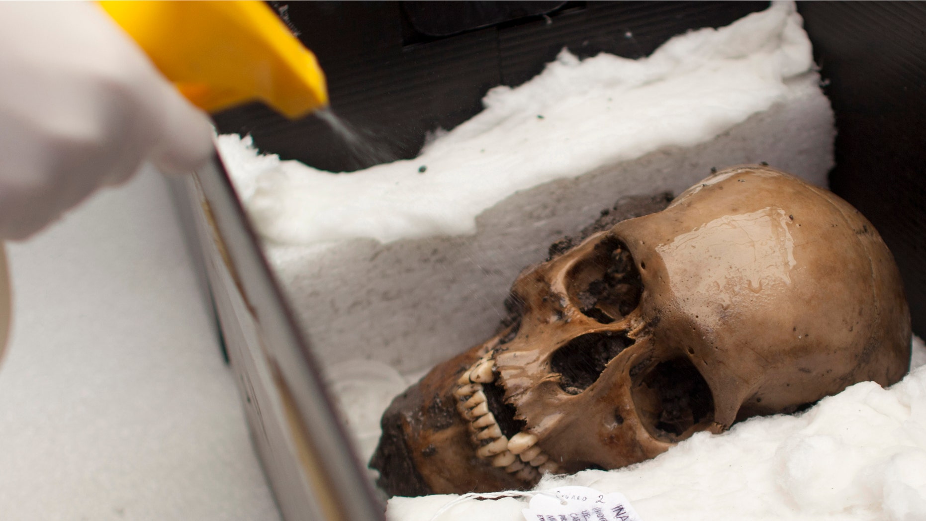 An archeologist sprays water on a skull recently discovered at the archaeological site Templo Mayor in Mexico City, Friday, Oct. 5, 2012.