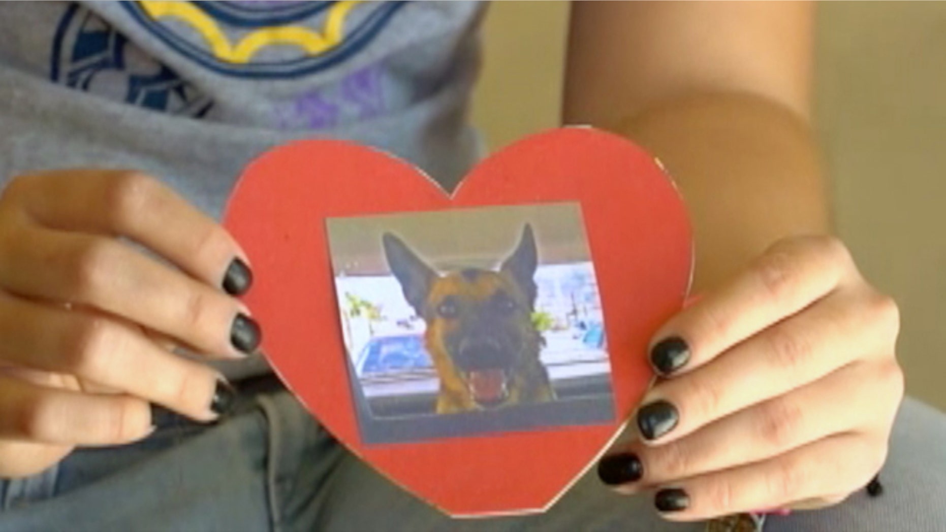 Julieta Robles shows a photograph of her dog "Box," in Hermosillo, Mexico, Wednesday, April 1, 2015.