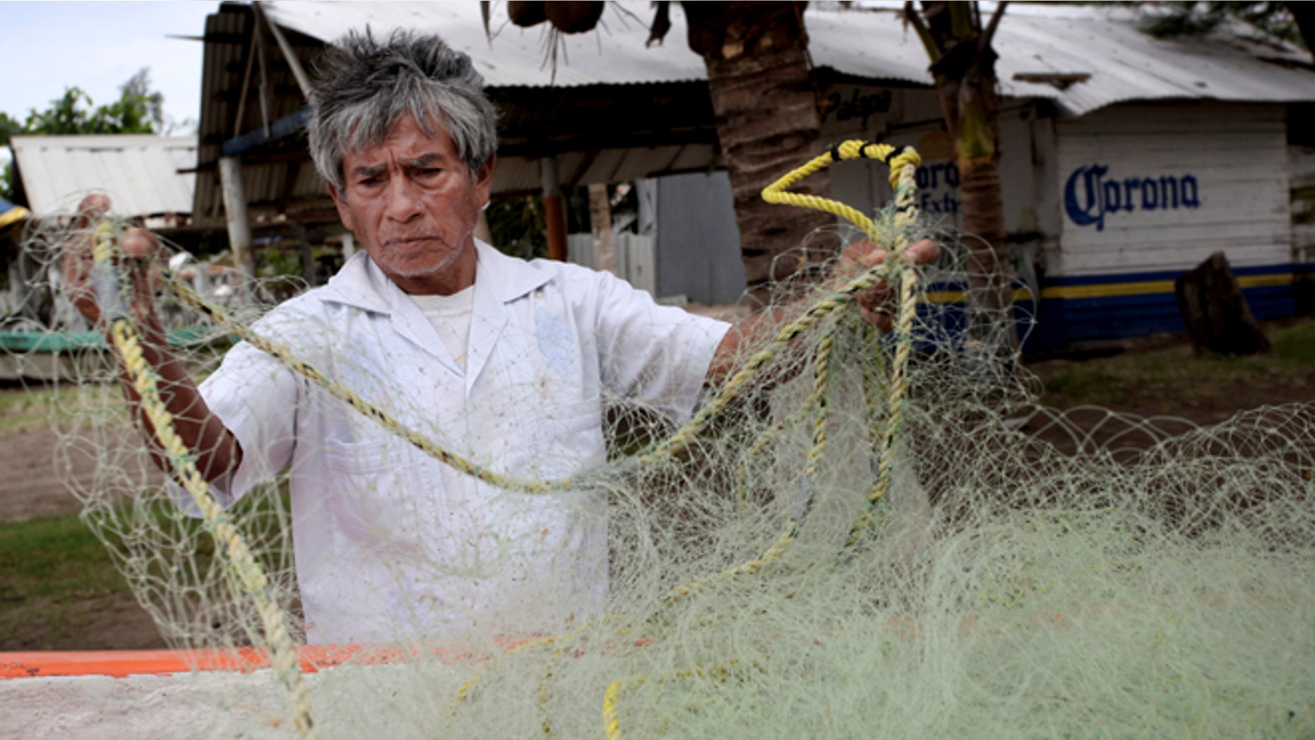 In this Nov. 9, 2013 photo, fisherman Raul Hurtado, 64, checks his nets outside of his small shack where he sells seafood in the port city of Veracruz, Mexico. Hurtado is a local legend, the man who found and lost millions of dollarsâ worth of Aztec gold almost four decades ago, was tossed in prison, then found peace making $150 a month selling octopus and other seafood from a thatched-roof shack. (AP Photo/Felix Marquez)