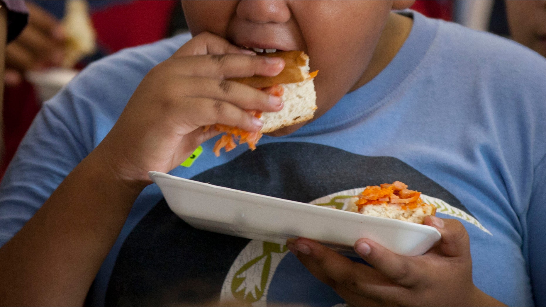 A boy eats a piece of a "mega torta" sandwich during a Torta Festival in a plaza Mexico City, Wednesday, Aug. 1, 2012. Cooks prepared the 52 meter sandwich during the festival in an attempt to assemble the largest torta in Mexico's history. (AP Photo/Eduardo Verdugo)
