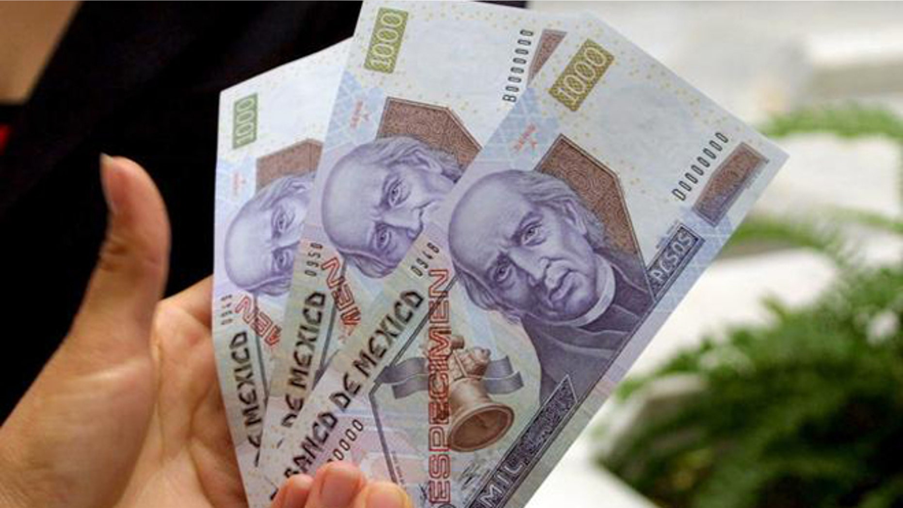 A woman show the new 1,000 peso bill , the largest denomination available in the currency, Thursday, Nov. 4, 2004, in Mexico City.The bill, worth US$87 and 68, will begin circulating on Nov. 15, 2004. About 50 million will be put into circulation.(AP Photo)