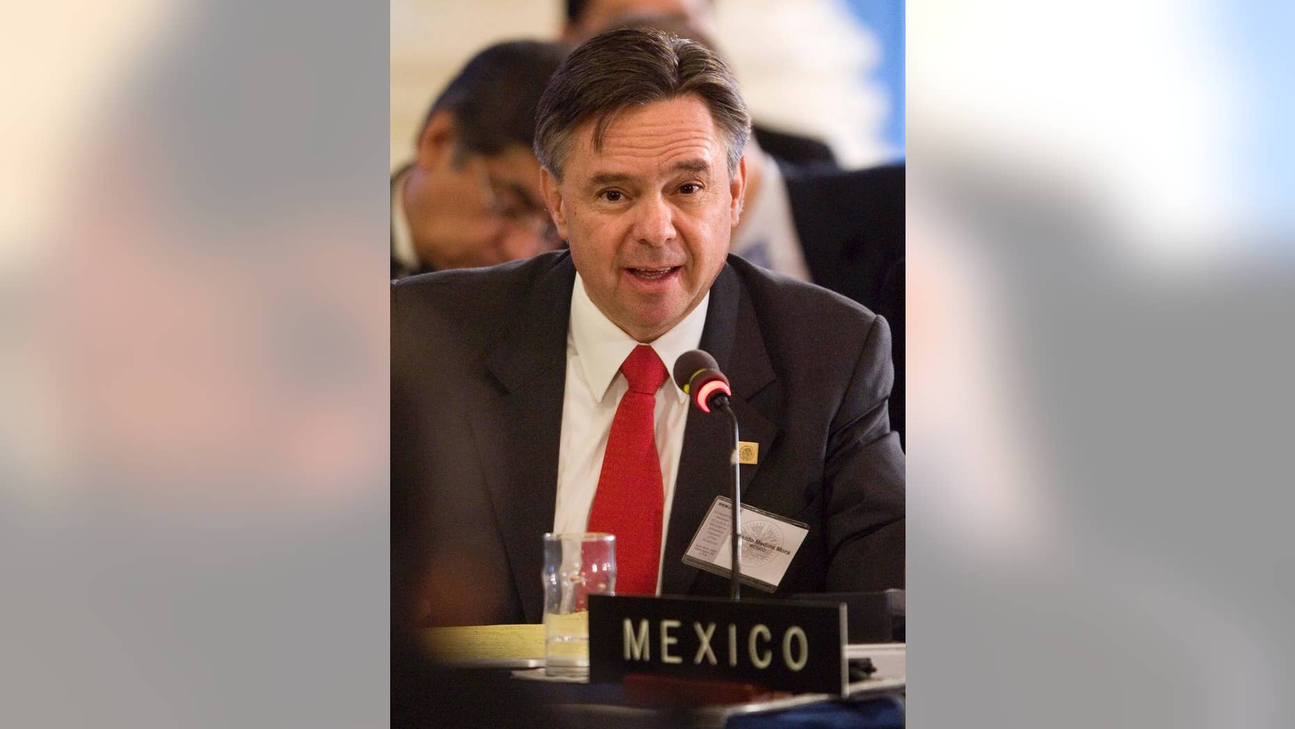 FILE - In this April 29, 2008 file photo, Mexican Attorney General Eduardo Medina Mora addresses the Organization of American States (OAS) meeting of justice ministers and attorneys general at OAS Headquarters in Washington. Medina Mora, a former prosecutor and ambassador who has been questioned about his public service record and close ties to Mexico's President Enrique Pena Nieto was voted late Tuesday, March 10, 2015 as minister to Mexico’s Supreme Court. (AP Photo/J. Scott Applewhite, File)