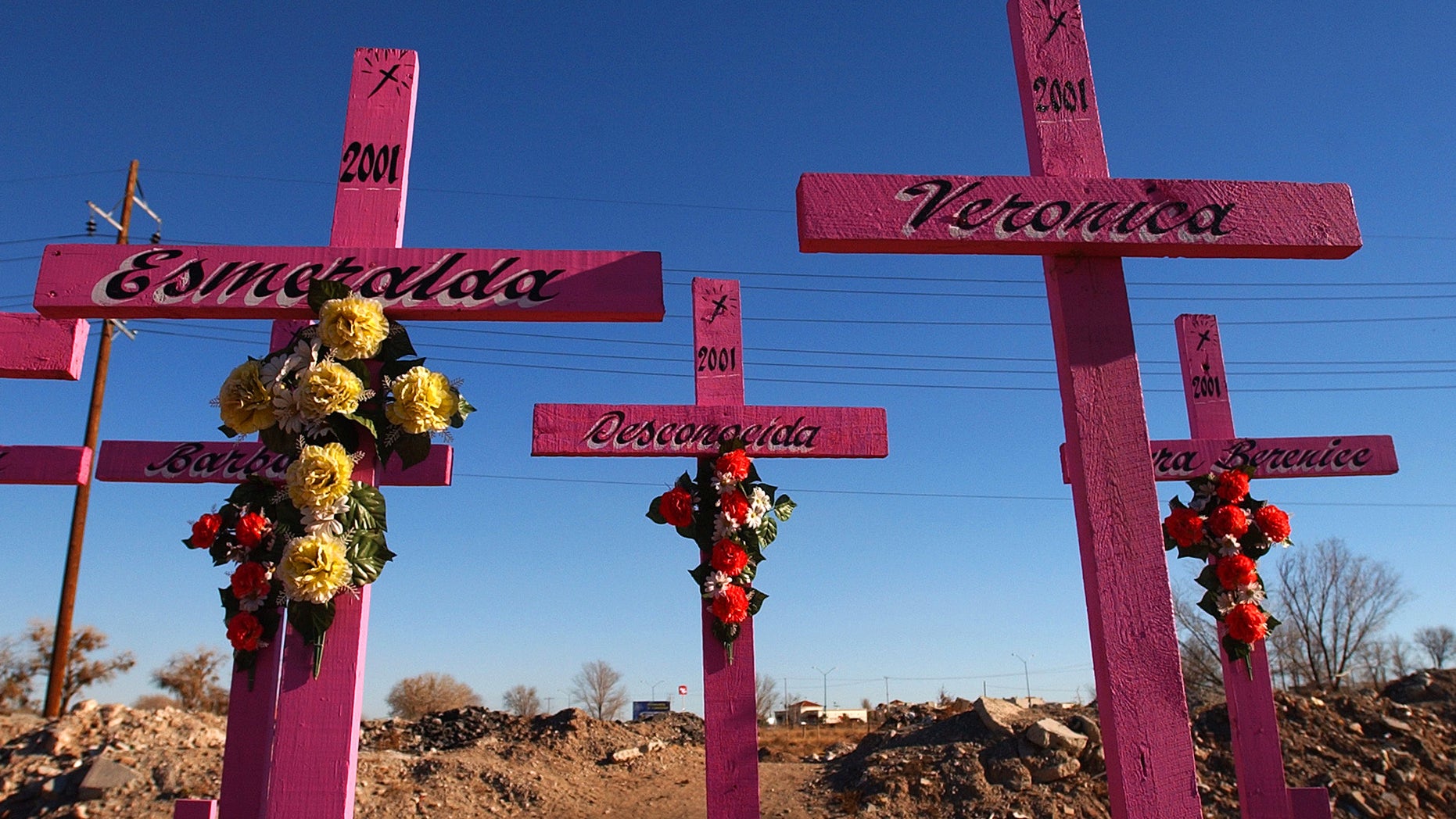 FILE - In this Jan. 30, 2004 file photo, crosses with names painted on them stand at the spot where the bodies of eight young women were found in 2001 in Ciudad Juarez, Mexico.