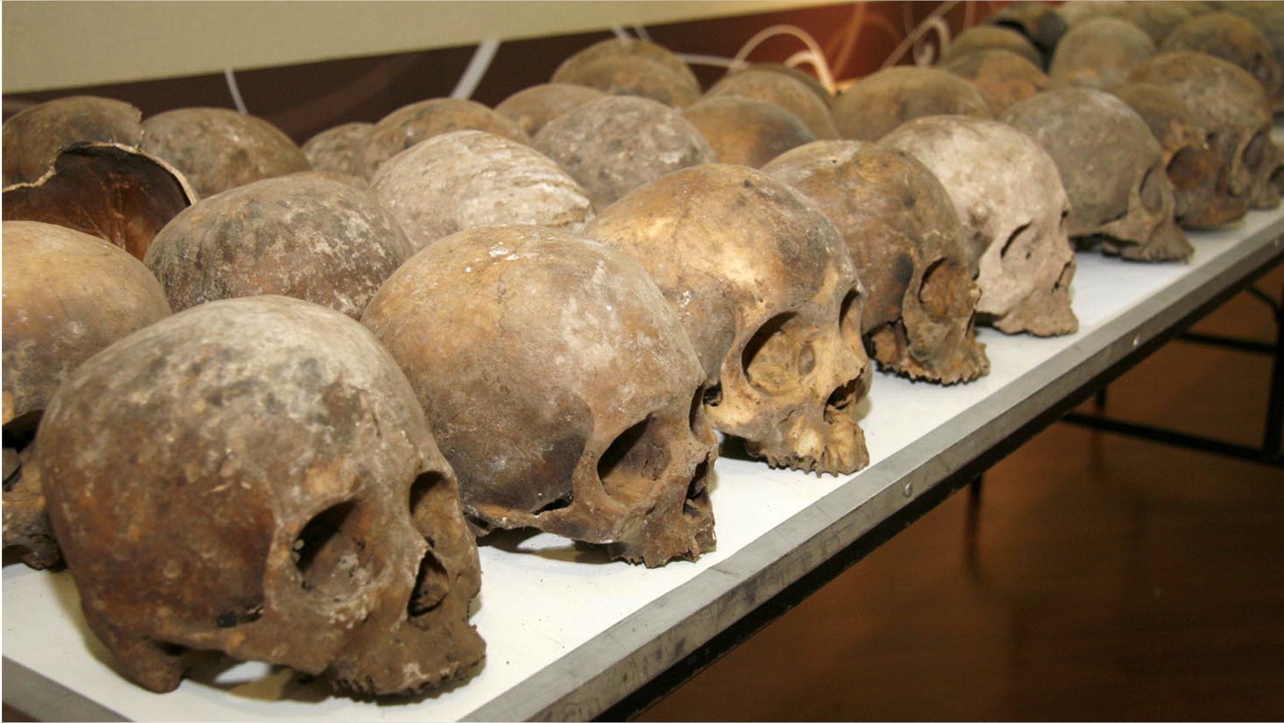 In this photo released by the Chiapas state Attorney General's Office, skulls that were found in a cave sit on a table at the Chiapas state attorney general's office in Tuxla Gutierrez, Mexico, Saturday March 10, 2012. (AP Photo/Chiapas state Attorney General's Office)