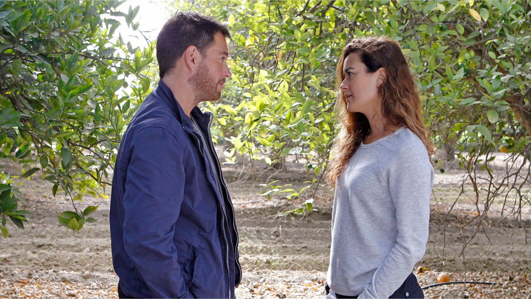 LOS ANGELES - JULY 30: "Past, Present & Future" -- Determined to locate Ziva (Cote de Pablo, right), Tony (Michael Weatherly, left) chases leads in Israel in search of her current whereabouts, on NCIS, Tuesday, Oct. 1 (8:00-9:00 PM, ET/PT) on the CBS Television Network. (Photo by Sonja Flemming/CBS via Getty Images)
