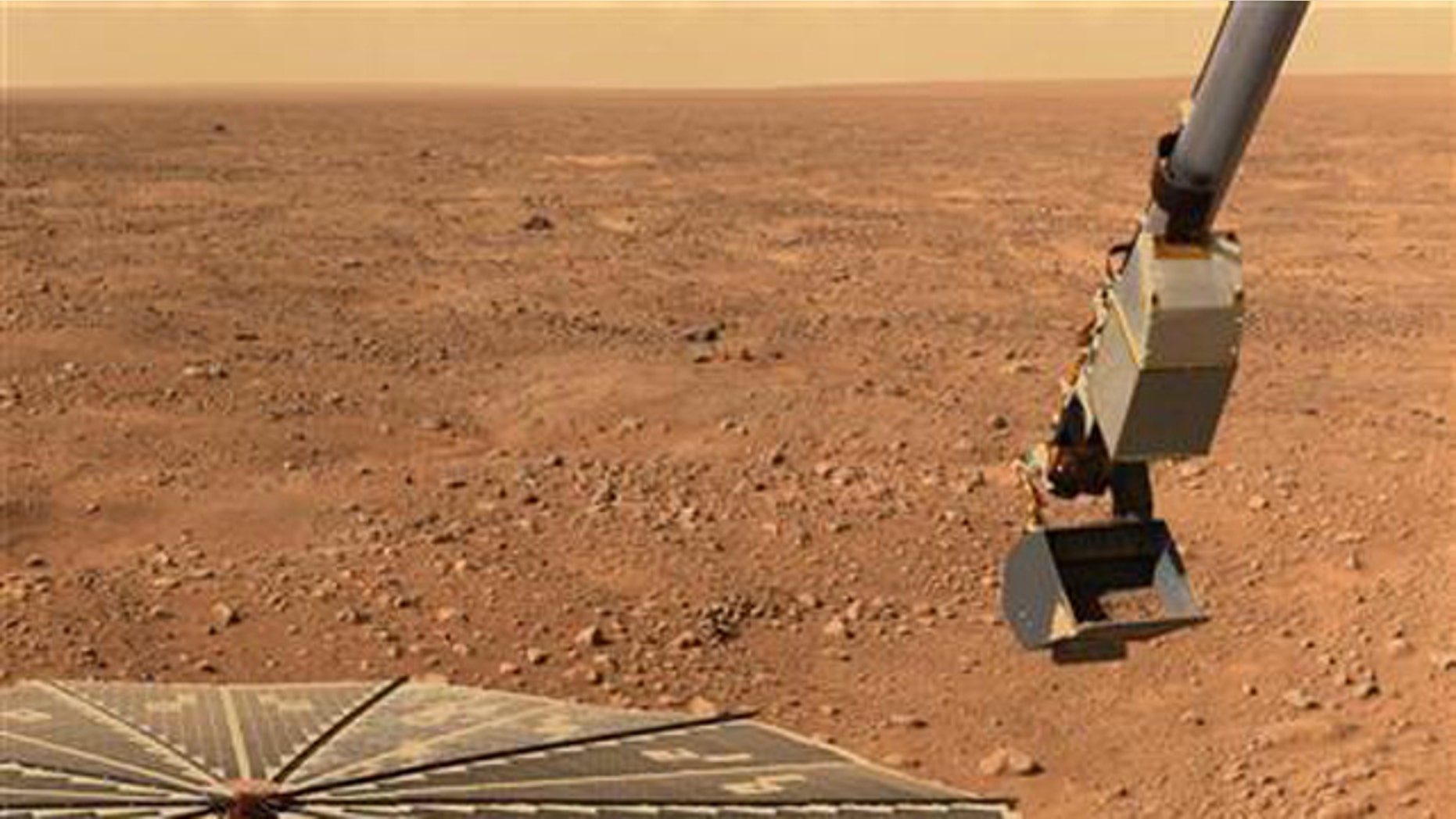 NASA's Phoenix Mars Landers solar panel and the lander's Robotic Arm with a sample in the scoop are seen in this image taken June 10, 2008, by the lander's Surface Stereo Imager.