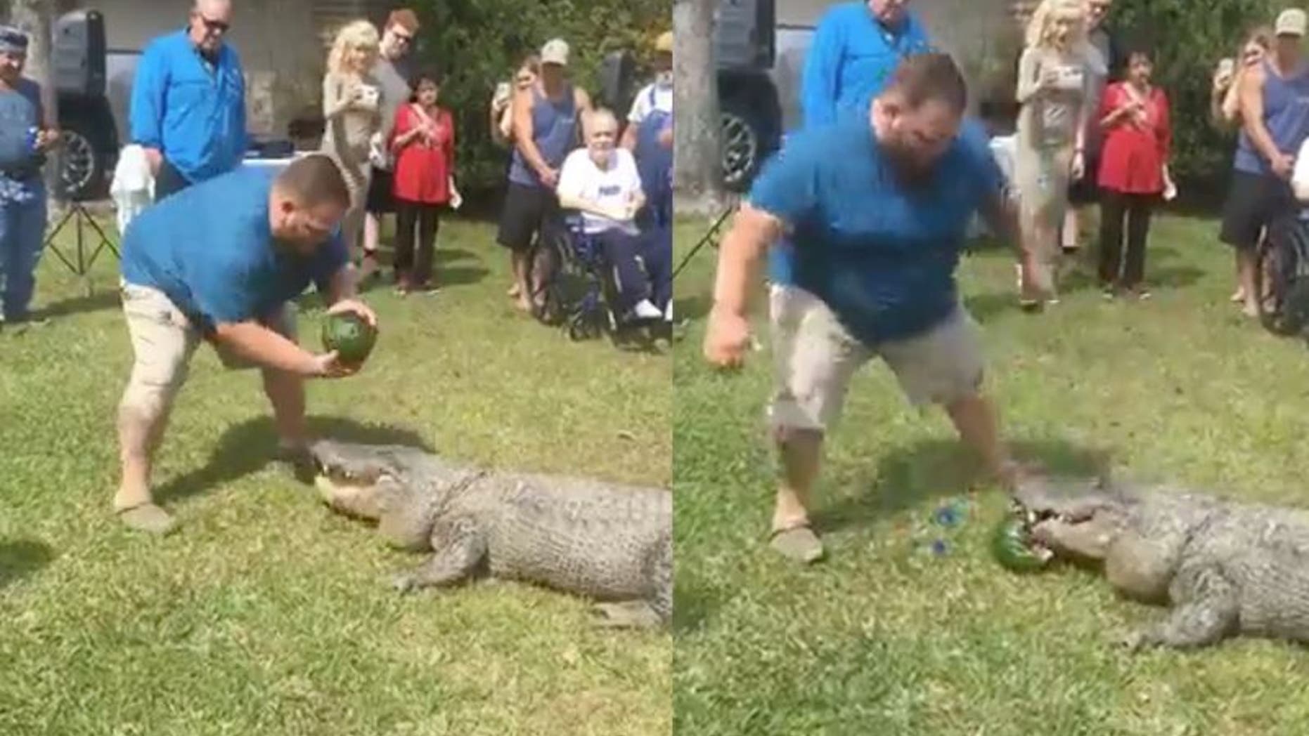 A Louisiana man used his alligator Sally to announce the gender of his unborn child.
