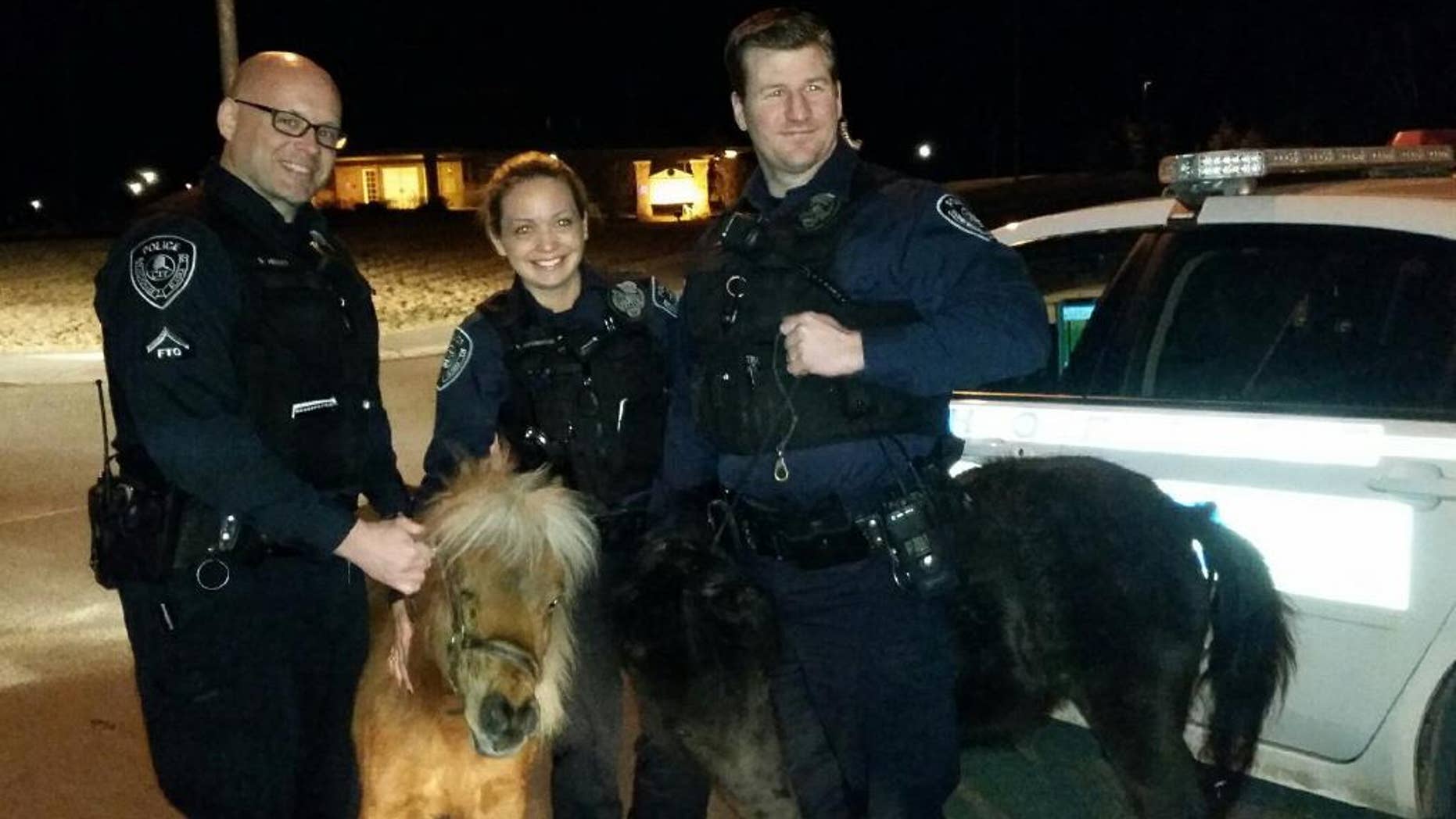 This photo provided by the Anchorage Police Department shows officers Barry Hetlet, from left, Amanda Covington and Jason Deville, right, with two miniature horses they rounded up in Anchorage, Alaska, Friday, March 27, 2015. The horses had gotten loose from their corral and were grazing on the median of a busy East Anchorage street when officers captured them. (AP Photo/Anchorage Police Department)