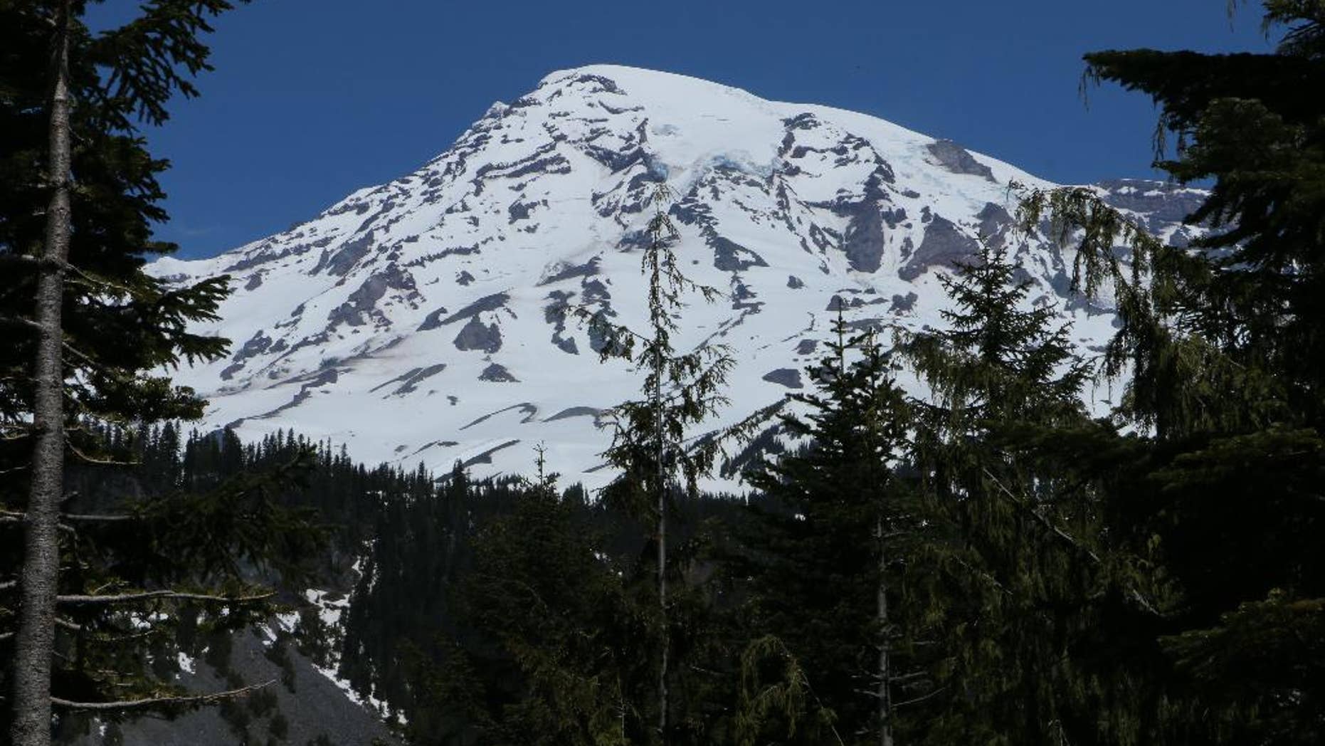 Mount Rainier is seen in the distance from a viewpoint within Mount Rainier National Park on Sunday, June 1, 2014. Park officials said that there are no immediate plans to recover the bodies of six climbers who likely fell thousands of feet to their deaths in the worst alpine accident on the mountain in decades.(AP Photo/Rachel La Corte)