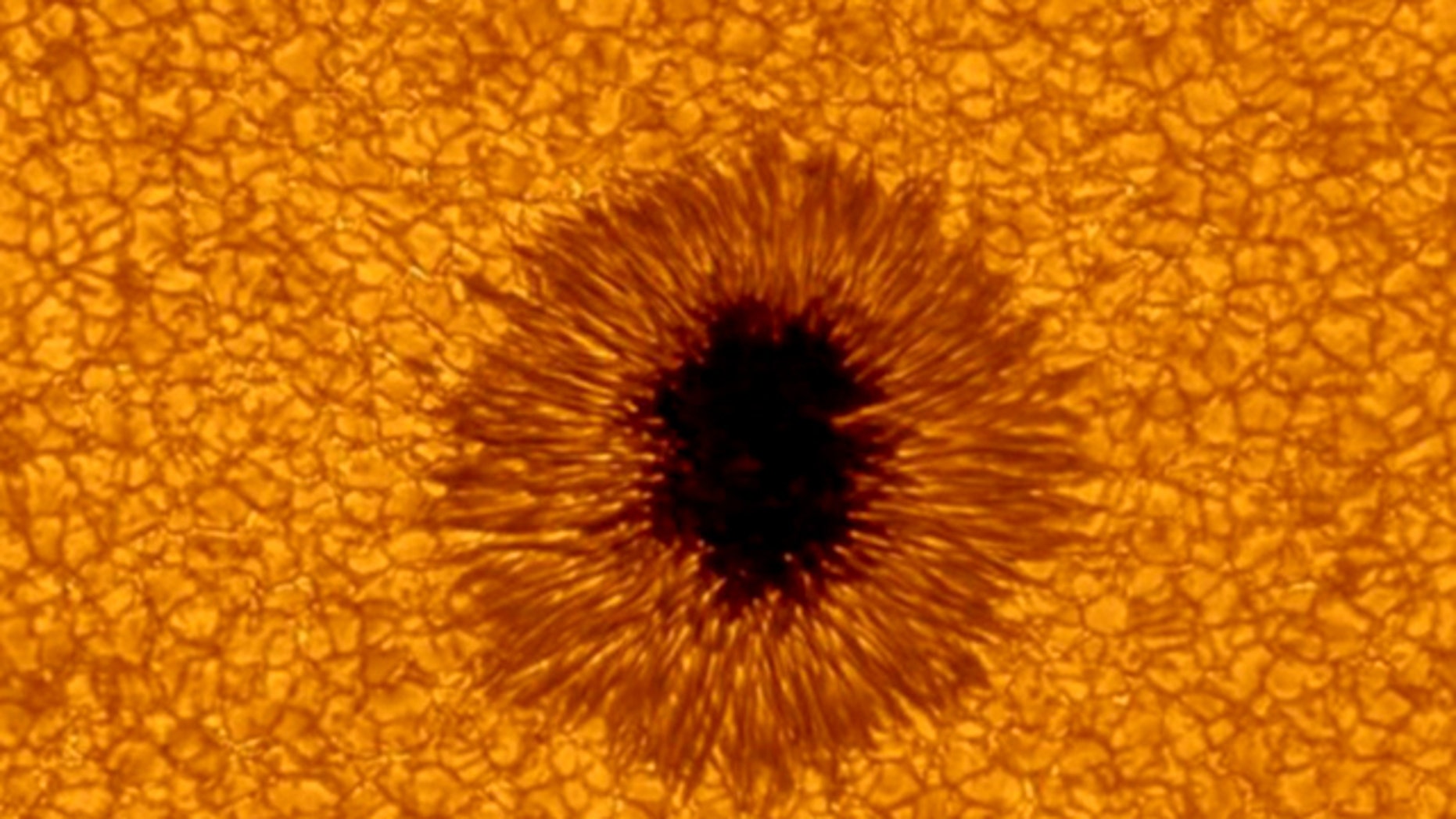 Scope Sees New Details In Sunspot Bigger Than Earth Fox News