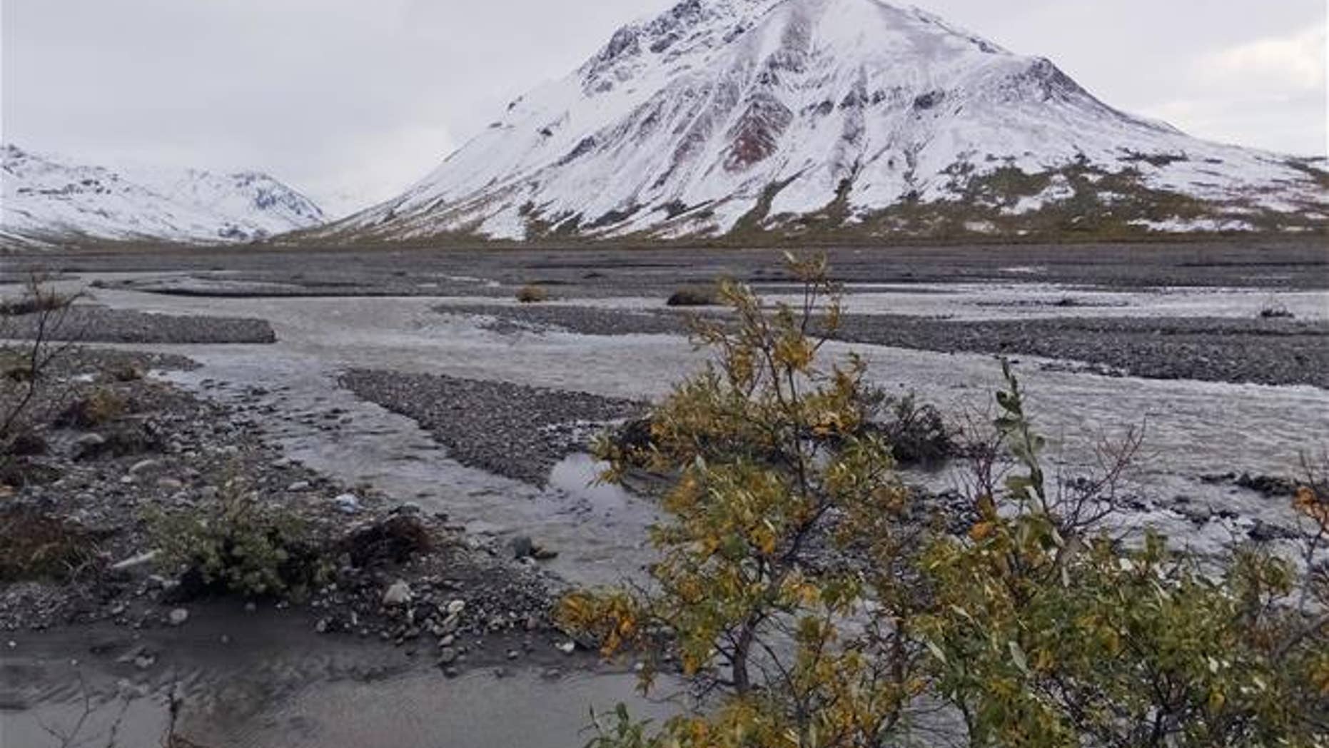 The Denali National Park and Preserve, Alaska, is seen in late August last year.