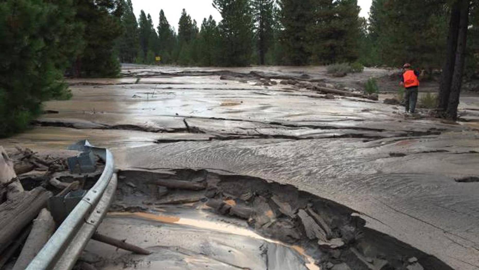 This Sunday, Sept. 21, 2014 photo provided by the U.S. Forest Service shows a mud flow along Mud Creek Canyon in the Shasta-Trinity National Forest. The largest mudslide on Northern California's Mt. Shasta in two decades may be related to California's prolonged drought, experts said Sunday. The mudslide began Saturday, Sept. 20, 2014 after a glacier holding pockets of water either shifted or melted, releasing water down the southeastern side of Mt. Shasta, said Andrea Capps, a spokeswoman for Shasta-Trinity National Forest. (AP Photo/U.S. Forest Service)