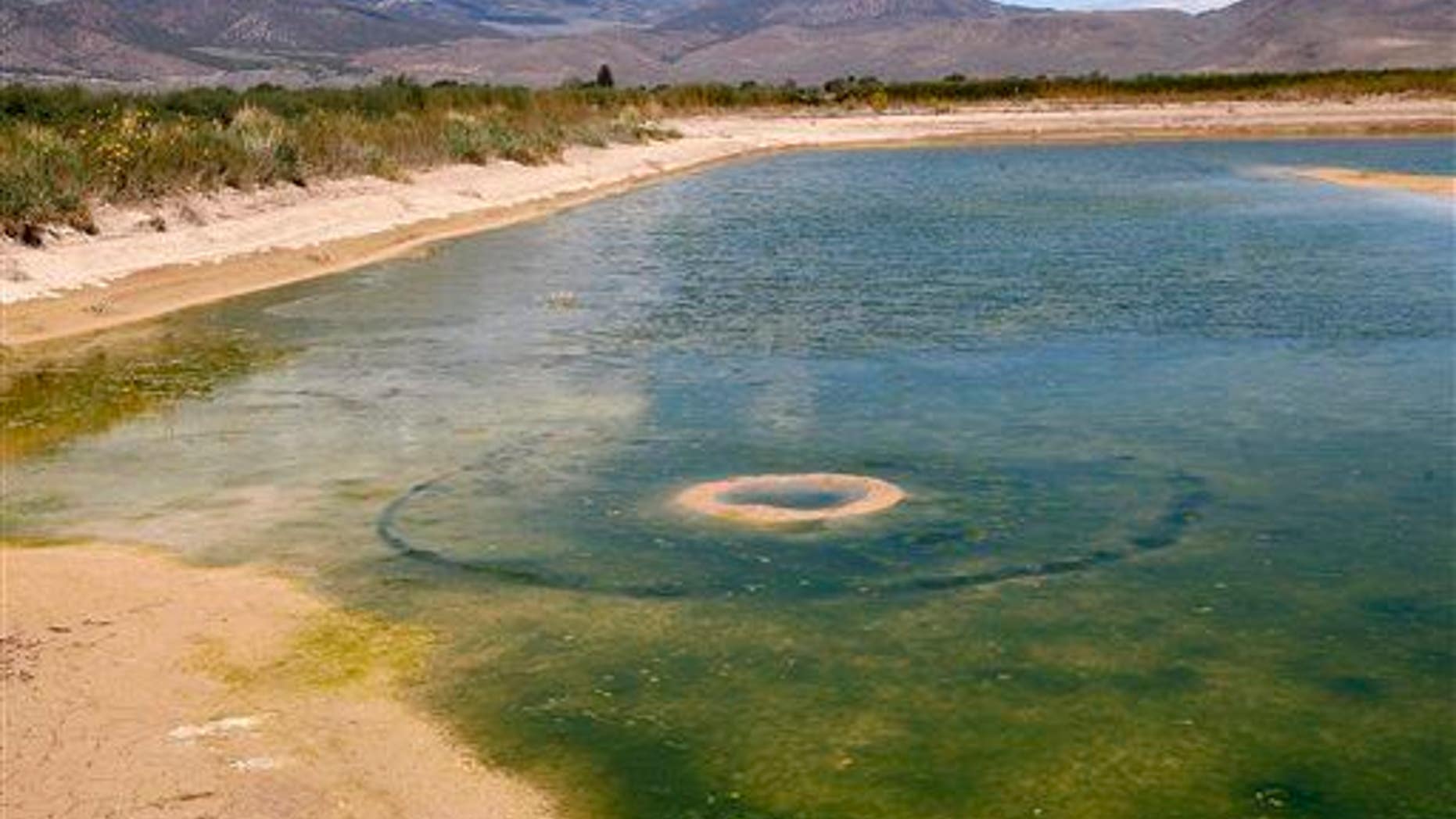 The Dalton family recently discovered a round hole or crater at the bottom of the irrigation pond on their farmland in Circleville, Utah.