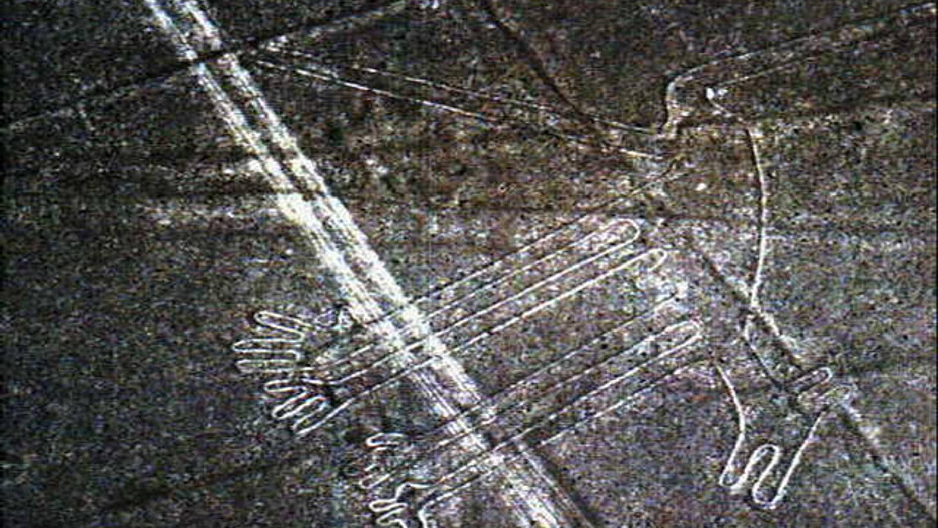 A Nazca geoglyph. (AP Graphics Bank)