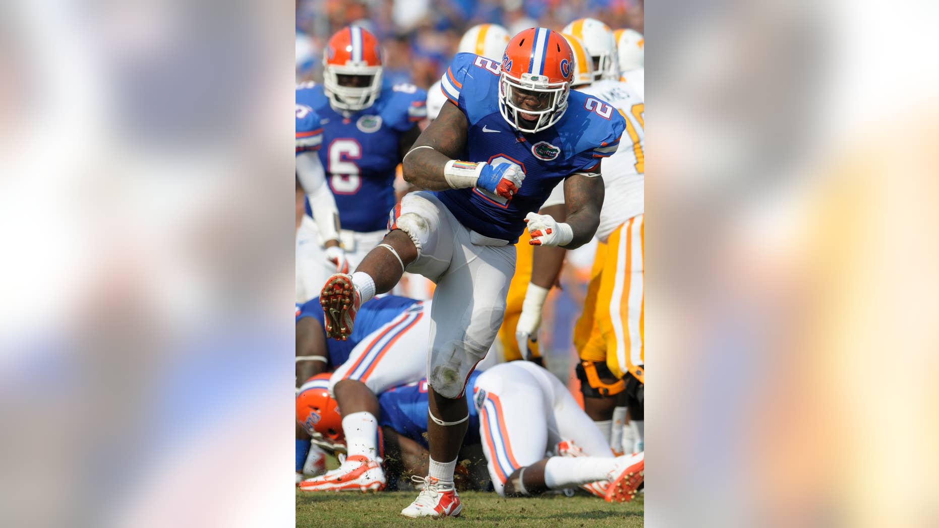 FILE- In this Sept. 17, 2011, file photo, Florida defensive tackle Dominique Easley (2) celebrates after tackling Tennessee running back Tauren Poole behind the line of scrimmage during the first half of an NCAA college football game in Gainesville, Fla. Easley was selected in the first round, 29th overall, by the new England Patriots in the NFL draft on Thursday, May 8, 2014. (AP Photo/Phelan M. Ebenhack, File)
