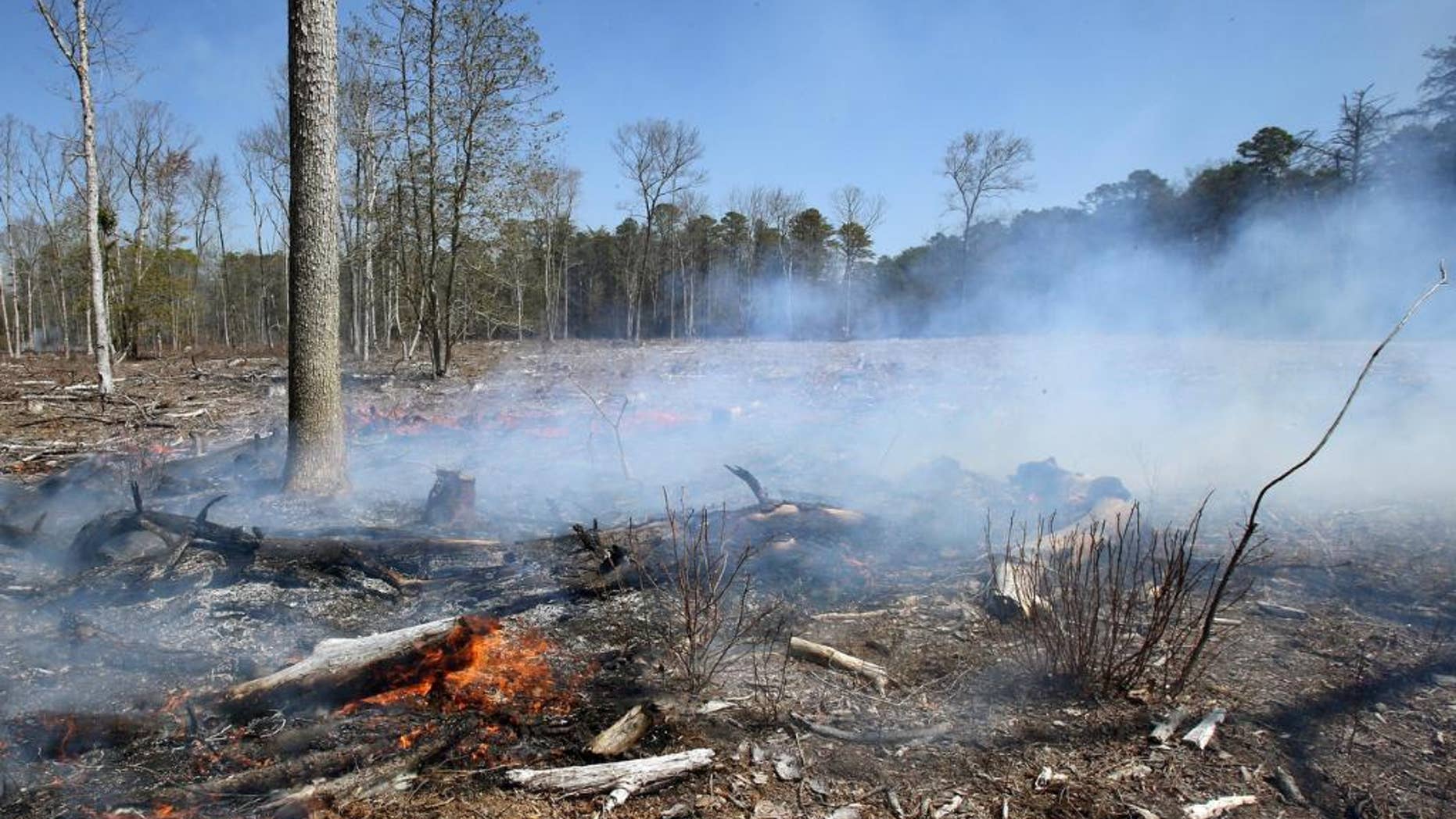 Hot spots of remained along a section of Dividing Creek Road, in Downe Township, Cumberland County, NJ, Thursday April 24, 2014, after a forest fire broke out on Wednesday that, was about 85% contained, according to fire officials on the scene with the New Jersey Forest Fire Service. (AP Photo/Press of Atlantic City, Dale Gerhard)