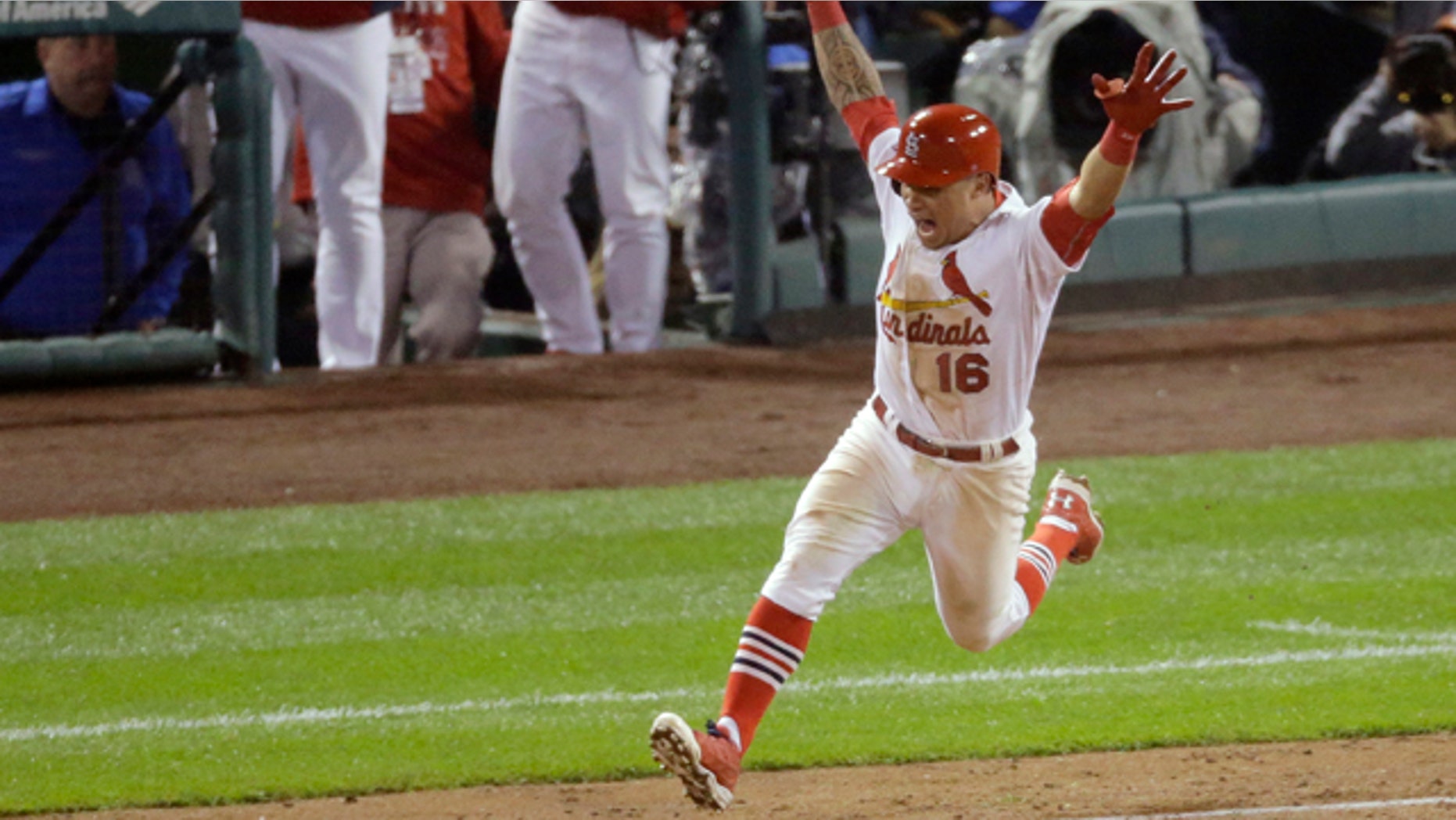 October 12, 2014: St. Louis Cardinals' Kolten Wong celebrates after hitting a walk-off home run during the ninth inning in Game 2 of the National League baseball championship series against the San Francisco Giants. (AP Photo/Eric Gay)