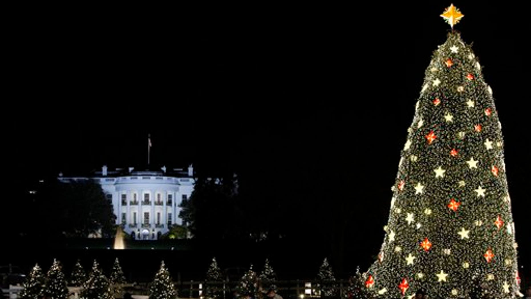 The White House is seen in the background after the lighting of the National Christmas Tree, Thursday, Dec. 3, 2009, in Washington. (AP Photo/Haraz N. Ghanbari)