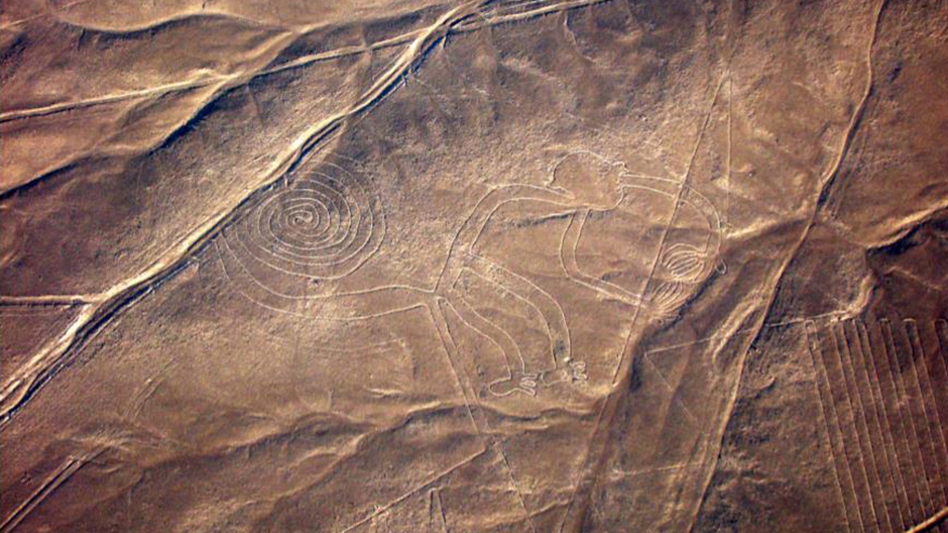 The geoglyph of a monkey is seen on the plains of the Nazca desert in southern Peru in this handout from June 2009.