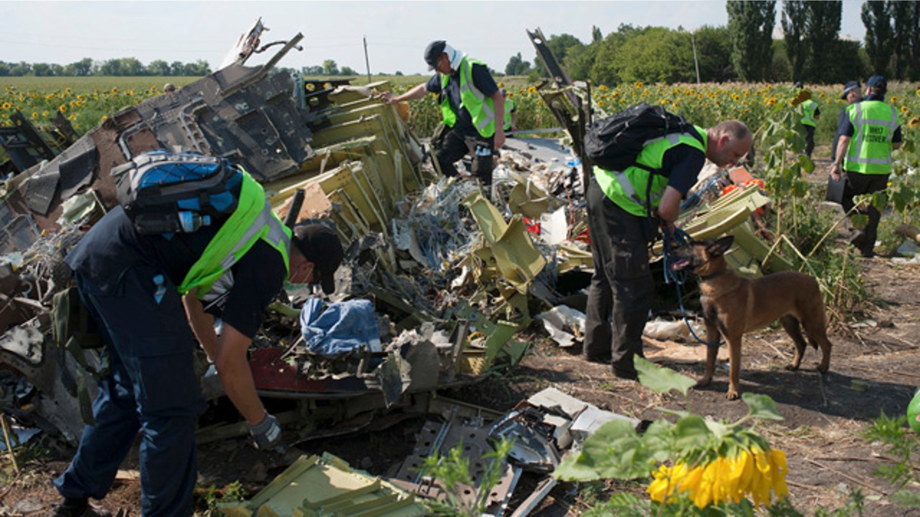 FILE - In this Tuesday, Aug. 5, 2014 file photo, Australian, Malaysian and Dutch investigators examine pieces of the downed Malaysia Airlines Flight 17 plane, near the village of Rossipne, Donetsk region, eastern Ukraine. (AP Photo/File)