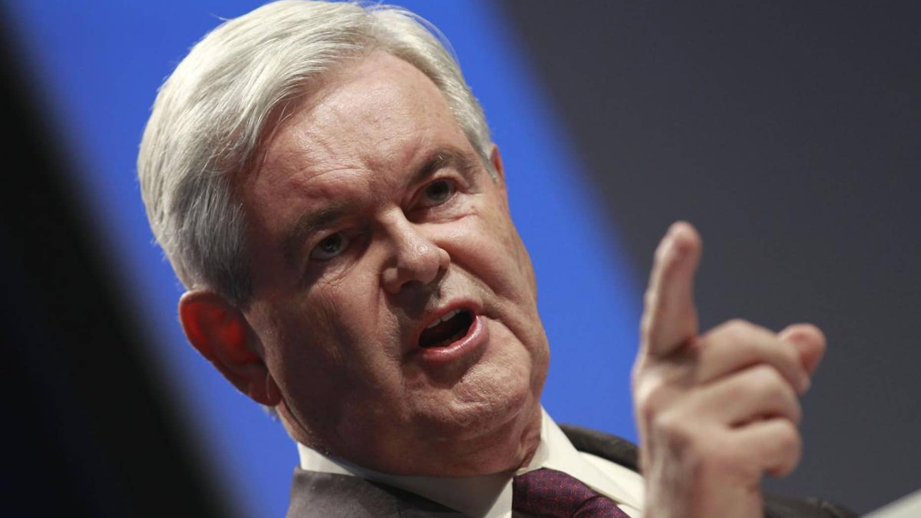 Former House Speaker Newt Gingrich addresses the Conservative Political Action Conference (CPAC) in Washington. (AP File Photo/Alex Brandon, File)