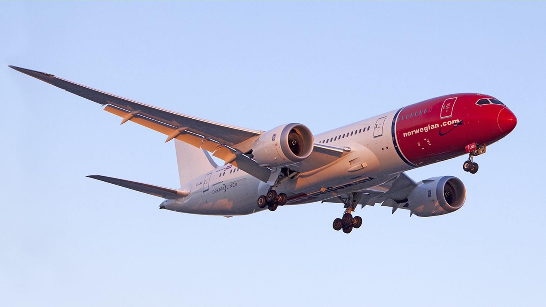 Norwegian Airlines says it is assisting with a police investigation into the alleged incident.