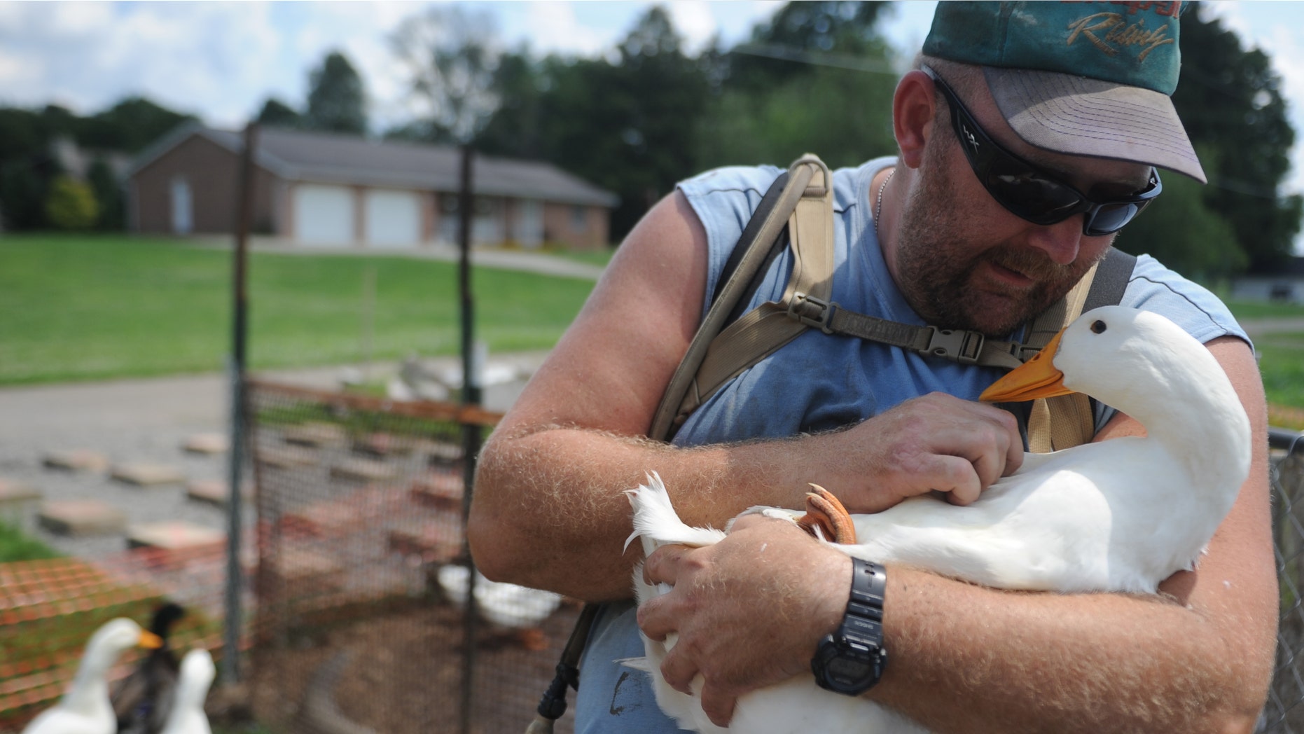 July 10, 2014: Iraq war veteran Darin Welker, 36, holds one of his ducks at his home in West Lafayette, Ohio.