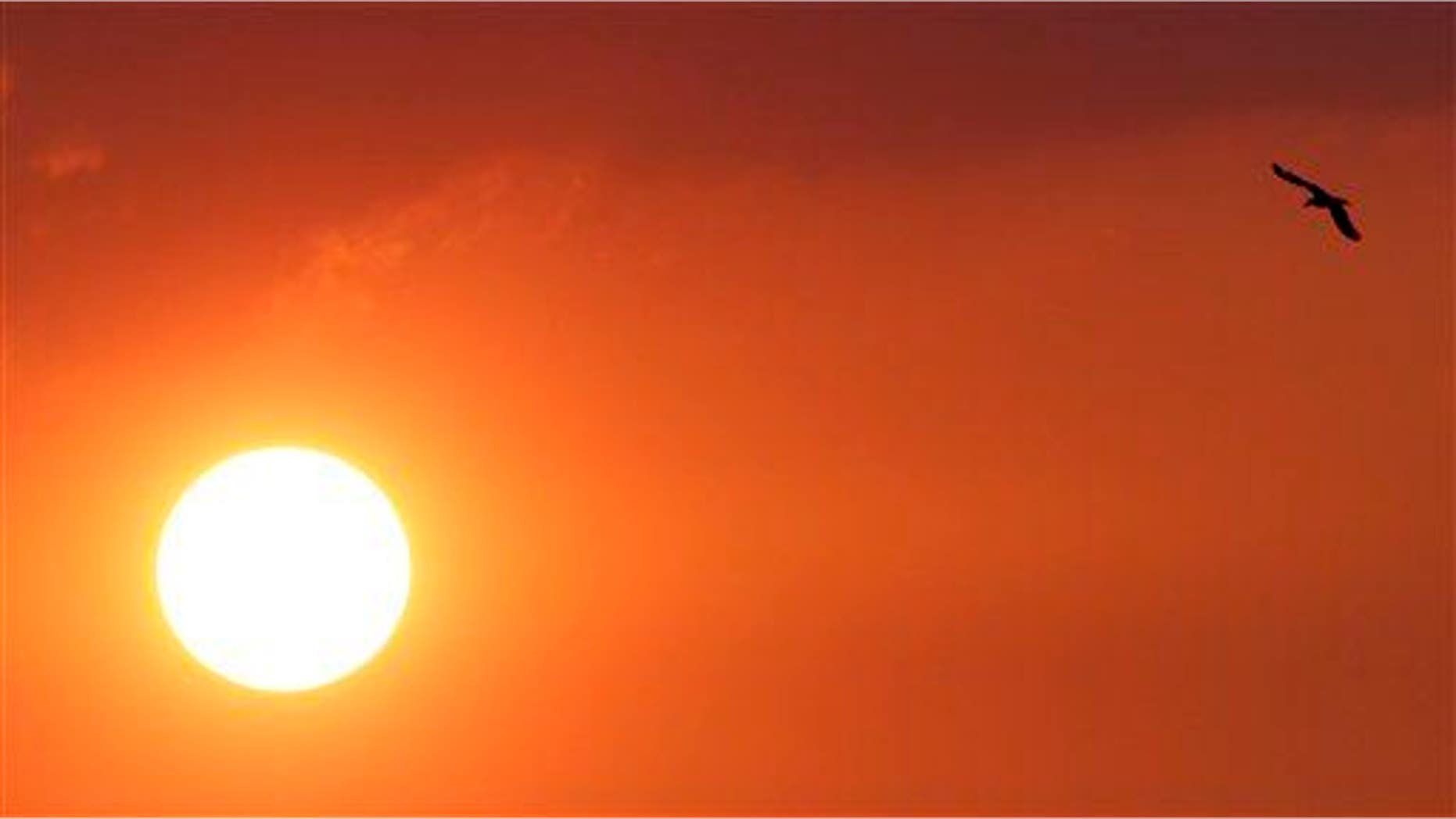 Ocean temperatures might provide an early warning about heat waves on the East Coast.