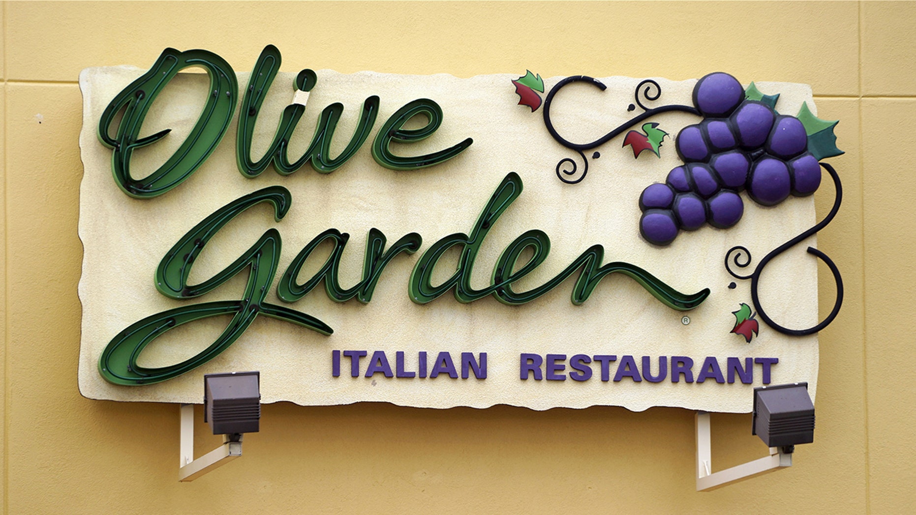 Olive Garden has unveiled their latest -- Loaded pasta chips that come with deep-fried lasagna noodles covered in meat and alfredo sauce.