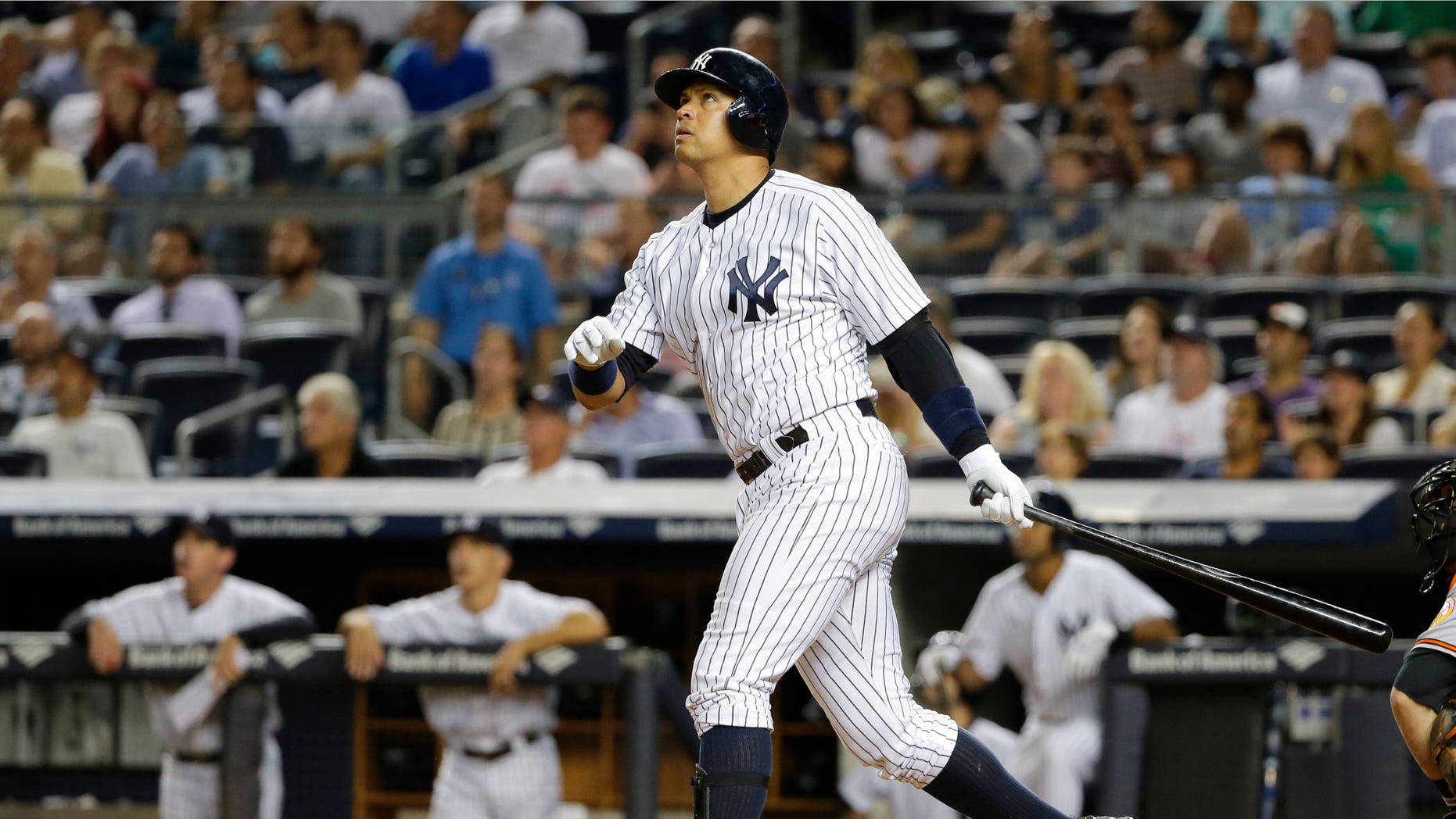 New York Yankees' Alex Rodriguez watches his home run during the sixth inning of a baseball game against the Baltimore Orioles on Tuesday, Sept. 8, 2015, in New York. (AP Photo/Frank Franklin II)