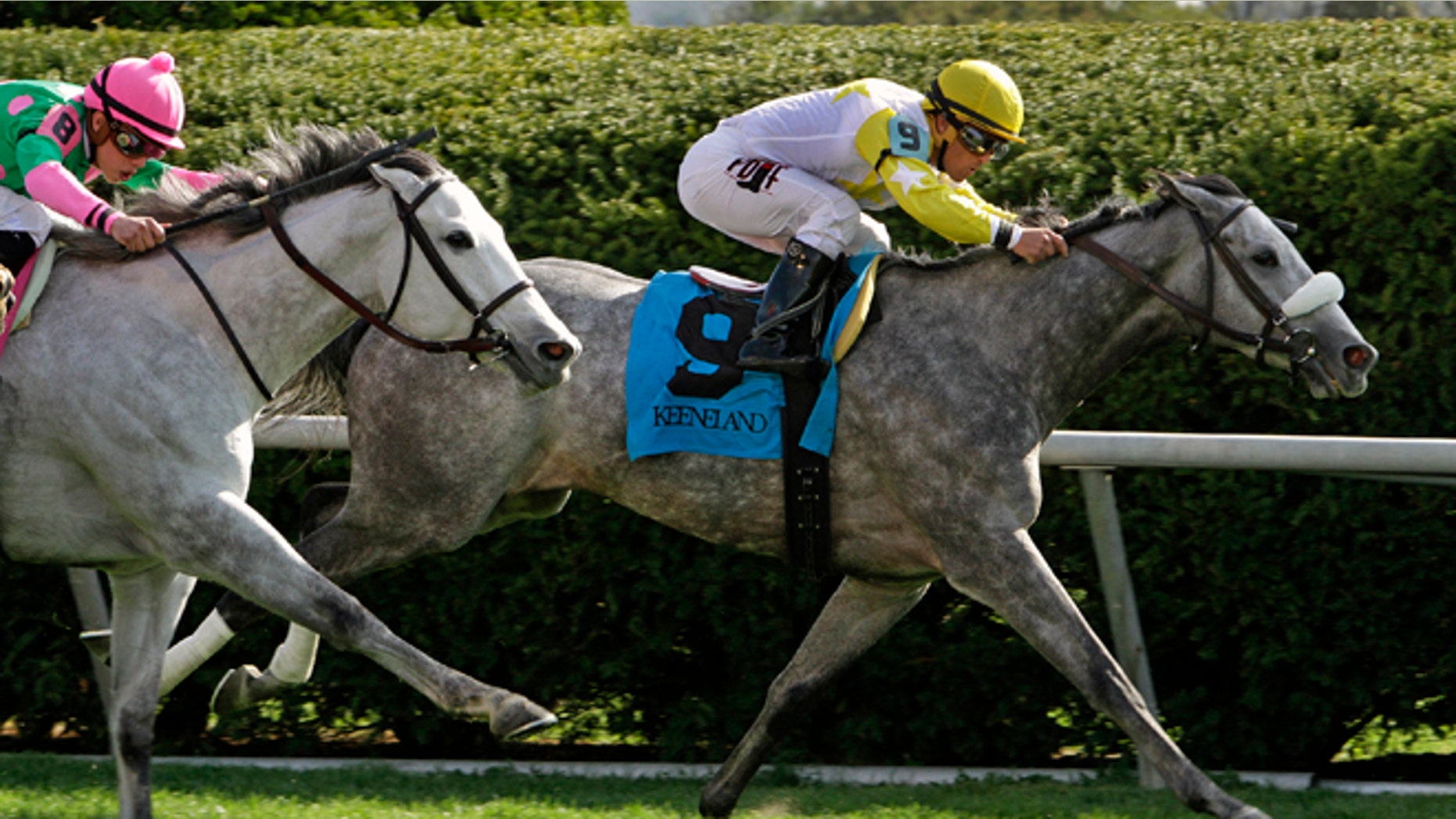 Hard Not to Like, right, with Javier Castellano aboard, outlasts Discreet Marq, left, with Irad Ortiz Jr. aboard, to win the Jenny Wiley Stakes horse race on the turf course at Keeneland in Lexington, Ky., Saturday, April 12, 2014. (AP Photo/Garry Jones)