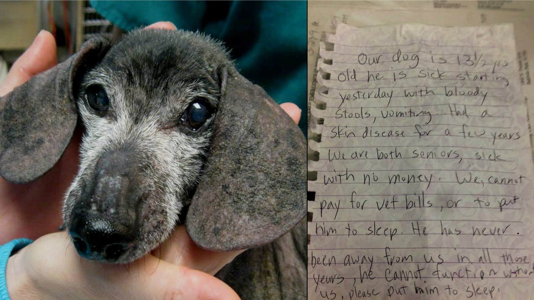 Leave No Paws Behind, Inc. posted a photo of 13-year-old "Otto" on the rescue group's Facebook page.