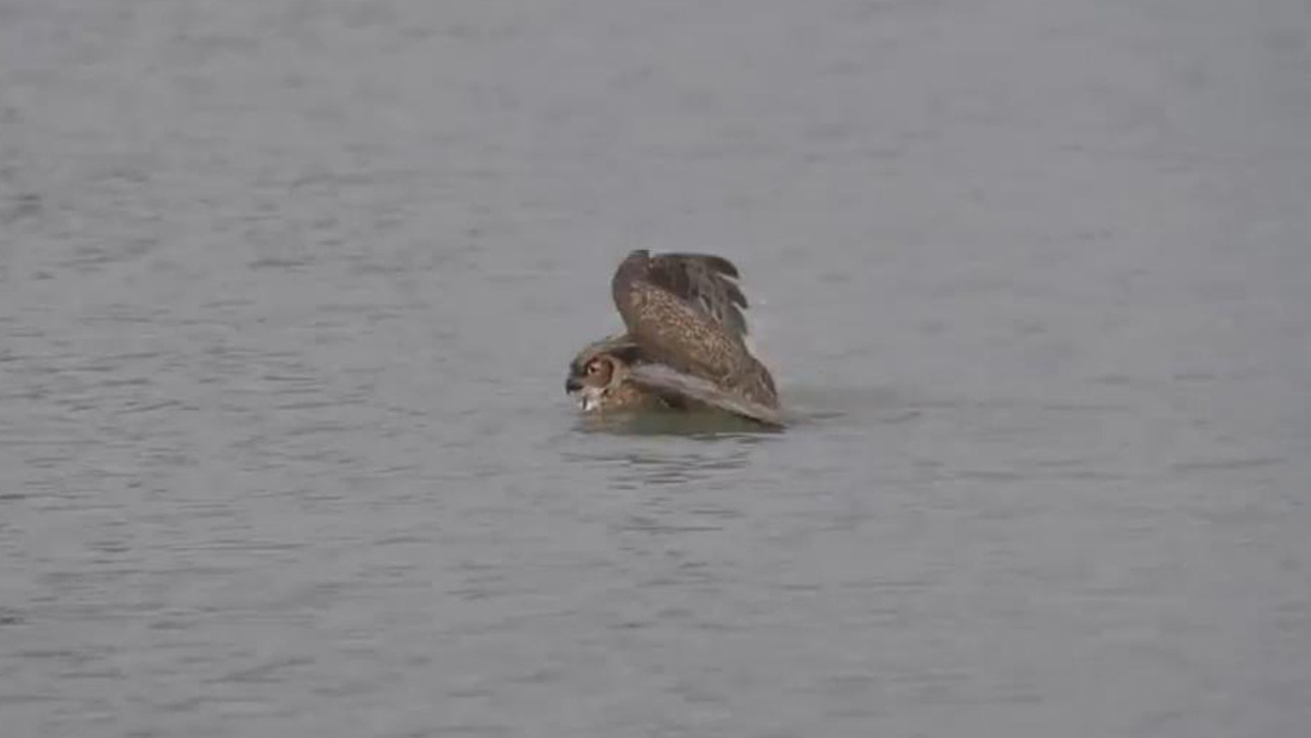 Screenshot from YouTube video.