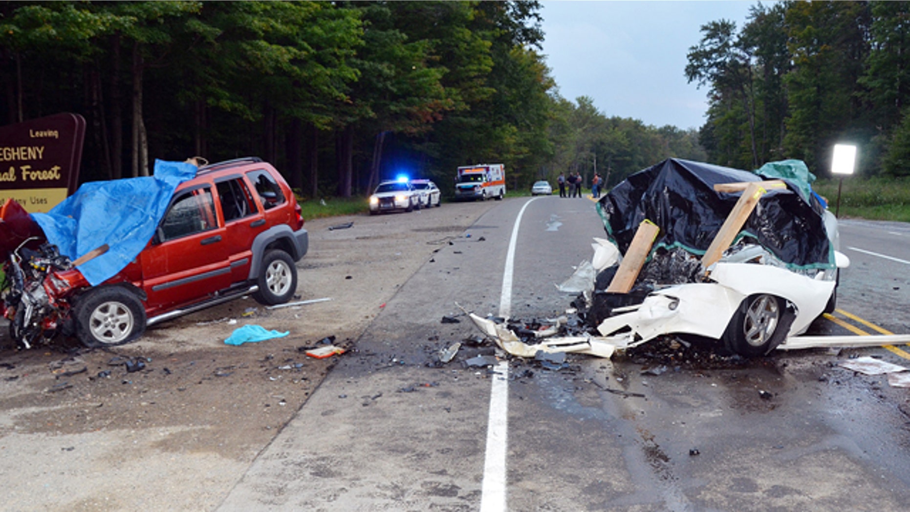Aug. 31, 2013: The wreckage of two cars which collided on U.S. Route 219 in Hamlin Township, Pa.