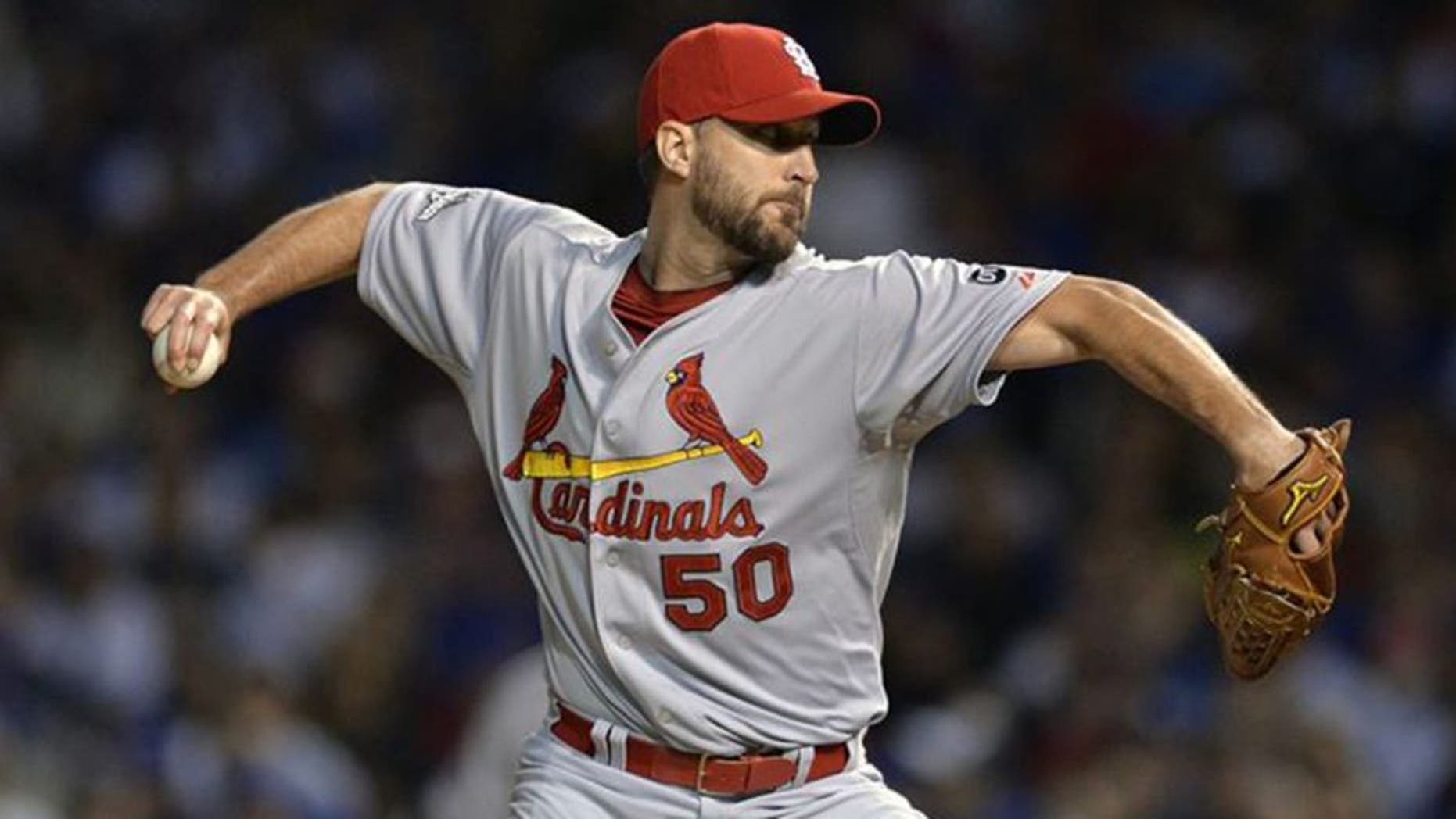 CORRECTS TO RELIEF PITCHER FROM STARTING PITCHER - St. Louis Cardinals relief pitcher Adam Wainwright (50) throws during the seventh inning of Game 3 in baseball's National League Division Series, Monday, Oct. 12, 2015, in Chicago. (AP Photo/Paul Beaty)