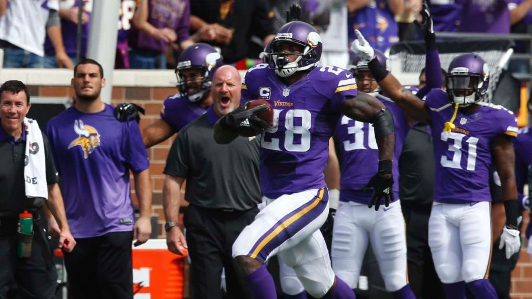 Minnesota Vikings running back Adrian Peterson runs the ball on a reception against the Detroit Lions in the first half in Minneapolis, Sunday, Sept. 20, 2015.